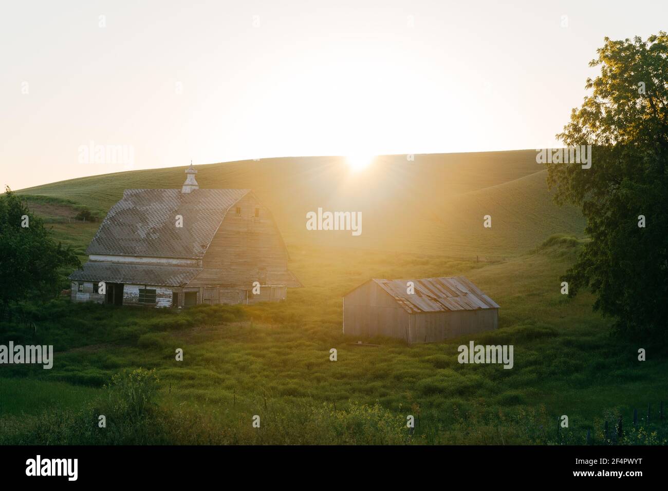 Sunrise Landscape - Glenwood, Washington. Foto Stock