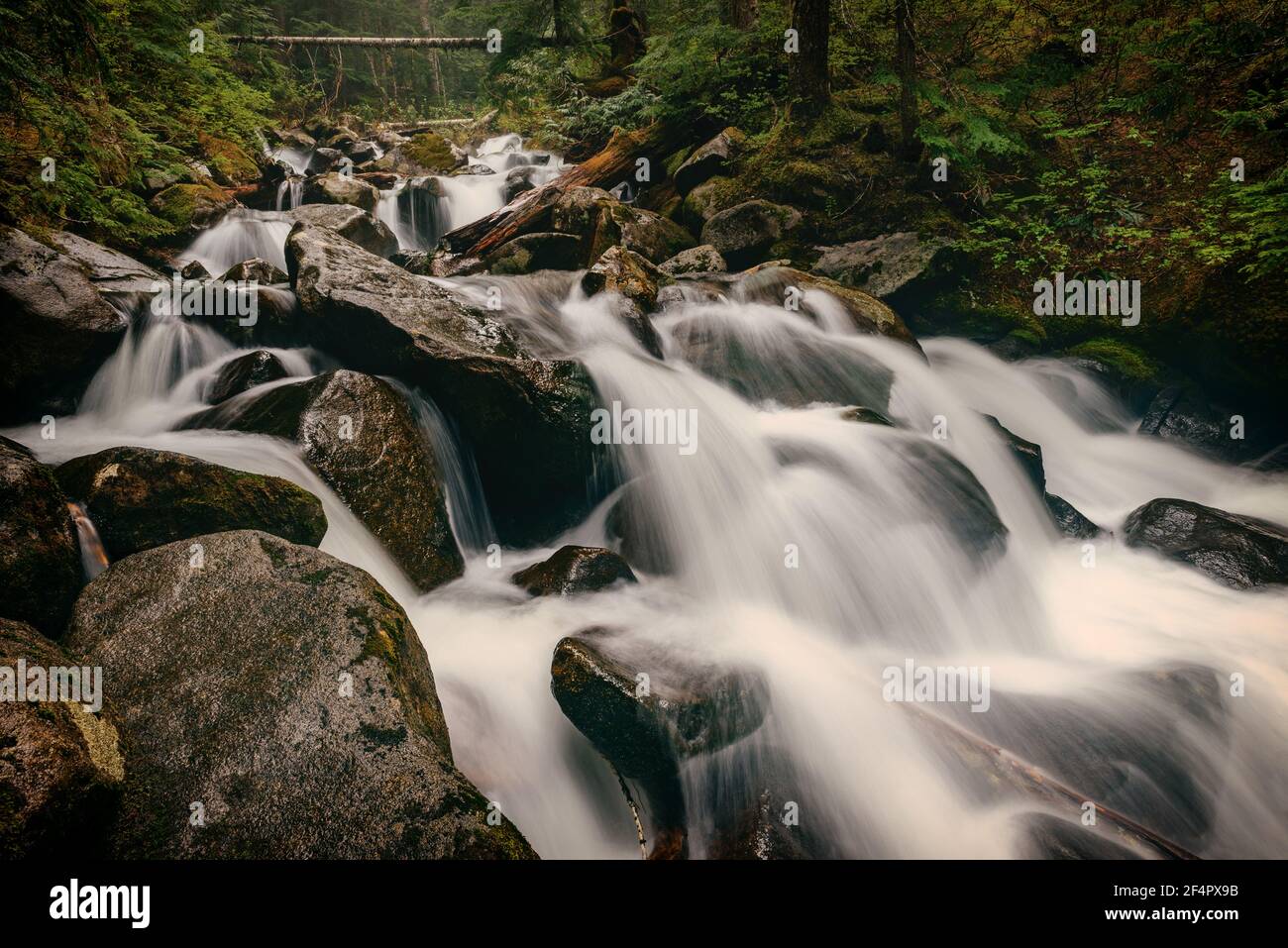 Talapus Creek Landscape - Cascades centrali, Washington. Foto Stock