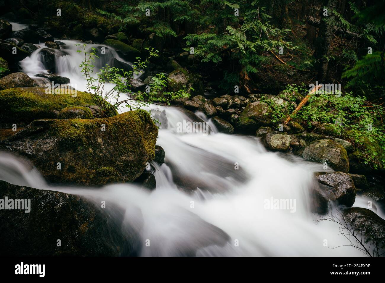 Talapus Creek Landscape - Cascades centrali, Washington. Foto Stock