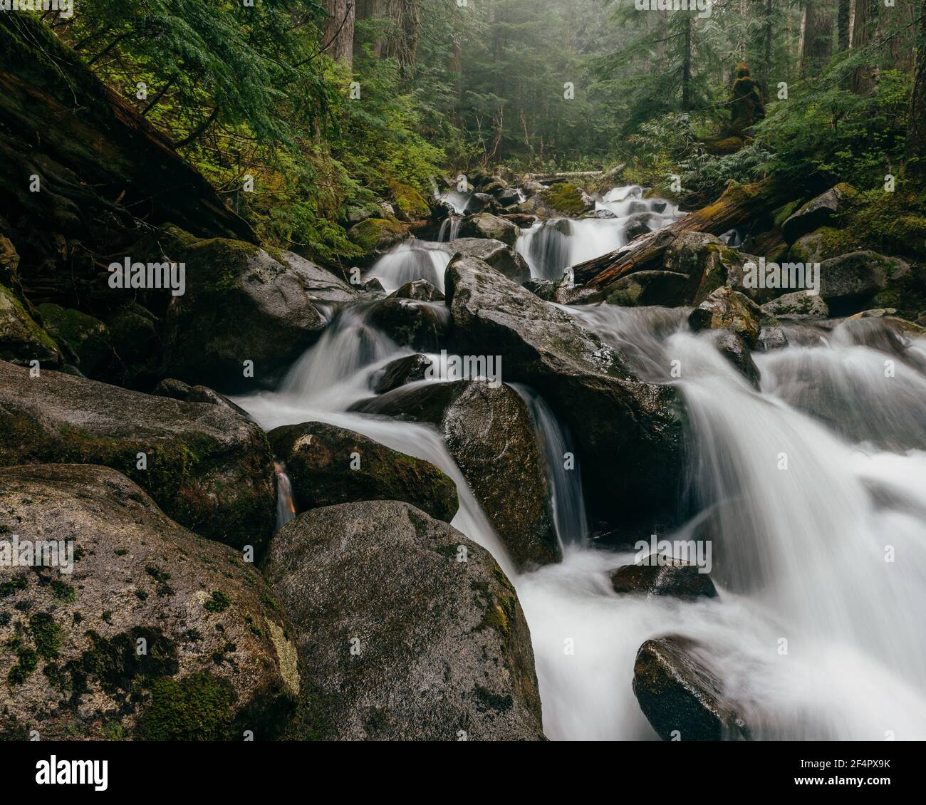 Talapus Creek Landscape - Cascades centrali, Washington. Foto Stock