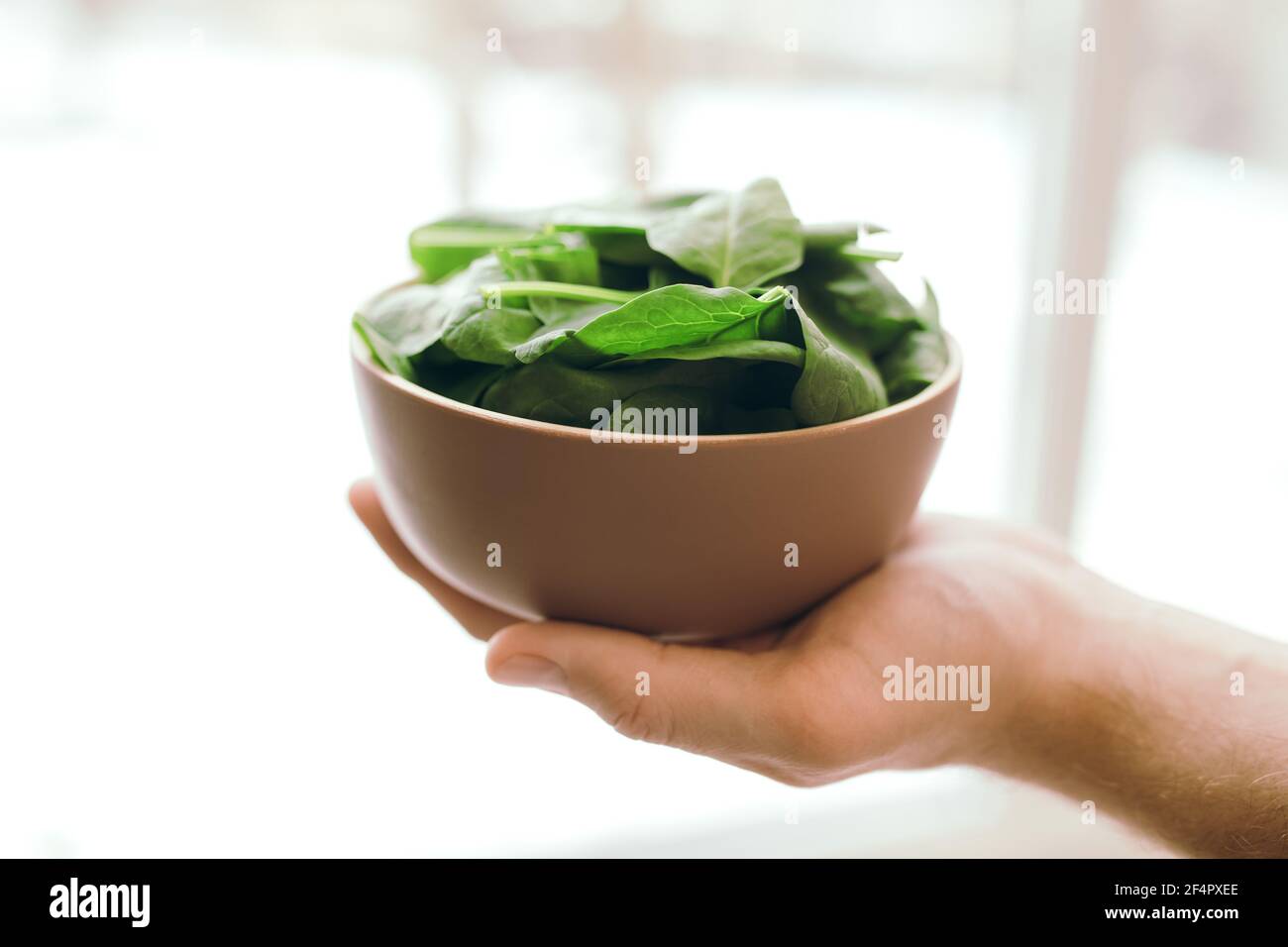 Ciotola per tenere le mani con foglie fresche di insalata verde di spinaci su sfondo sfocato. Sano concetto di cibo vegetariano. Foglie verdi di spinaci. Regali di Foto Stock Ciotola per tenere le mani con foglie fresche di insalata verde di spinaci su sfondo sfocato. Sano concetto di cibo vegetariano. Foglie verdi di spinaci. Regali di Foto Stock
