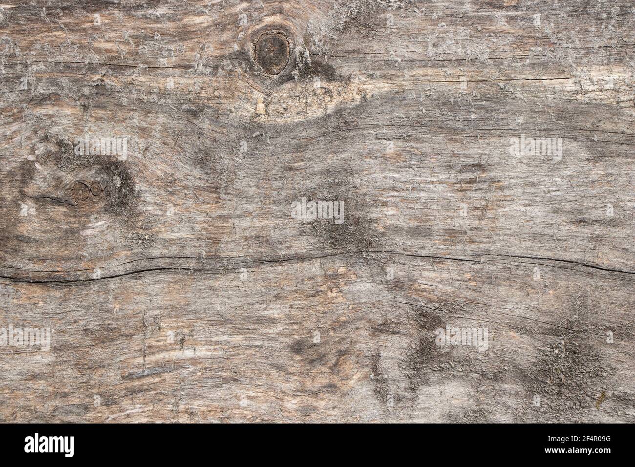 Superficie di un piatto di legno molto vecchio, sfondo di legno, texture Foto Stock