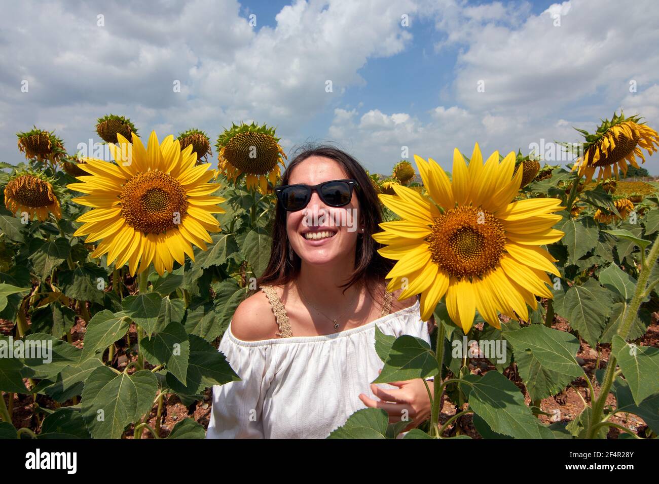 Allegra bella donna turca in occhiali da sole che posano su un girasole campo Foto Stock