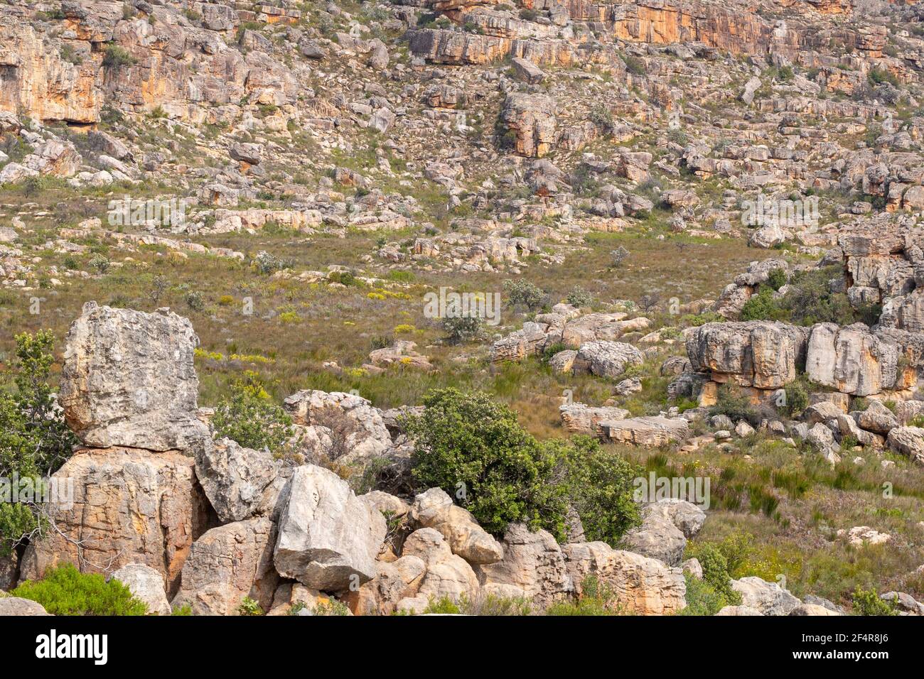 Il bellissimo paesaggio del nord Cederberg vicino a Clanwilliam nel capo occidentale del Sud Africa Foto Stock
