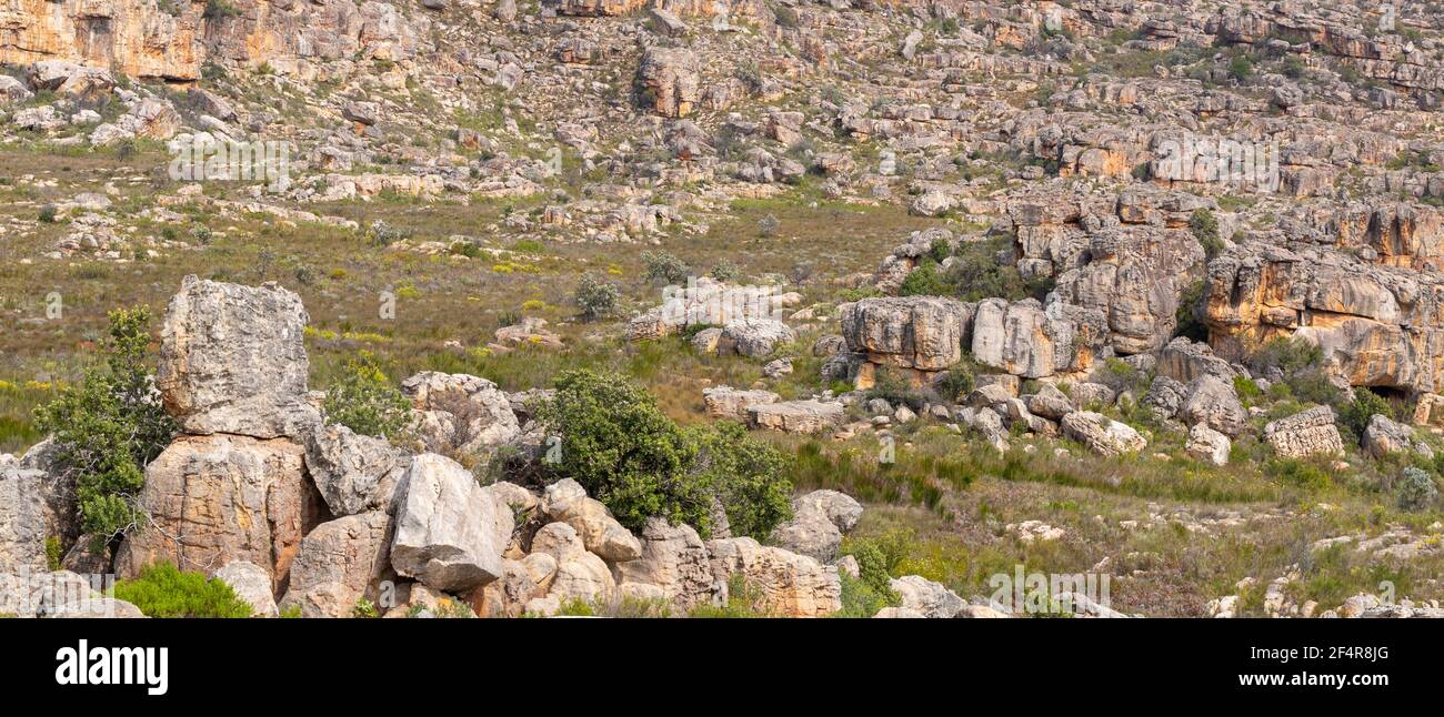 Panorama dello splendido paesaggio delle montagne di Cederberg vicino a Clanwilliam, nel capo occidentale del Sud Africa Foto Stock