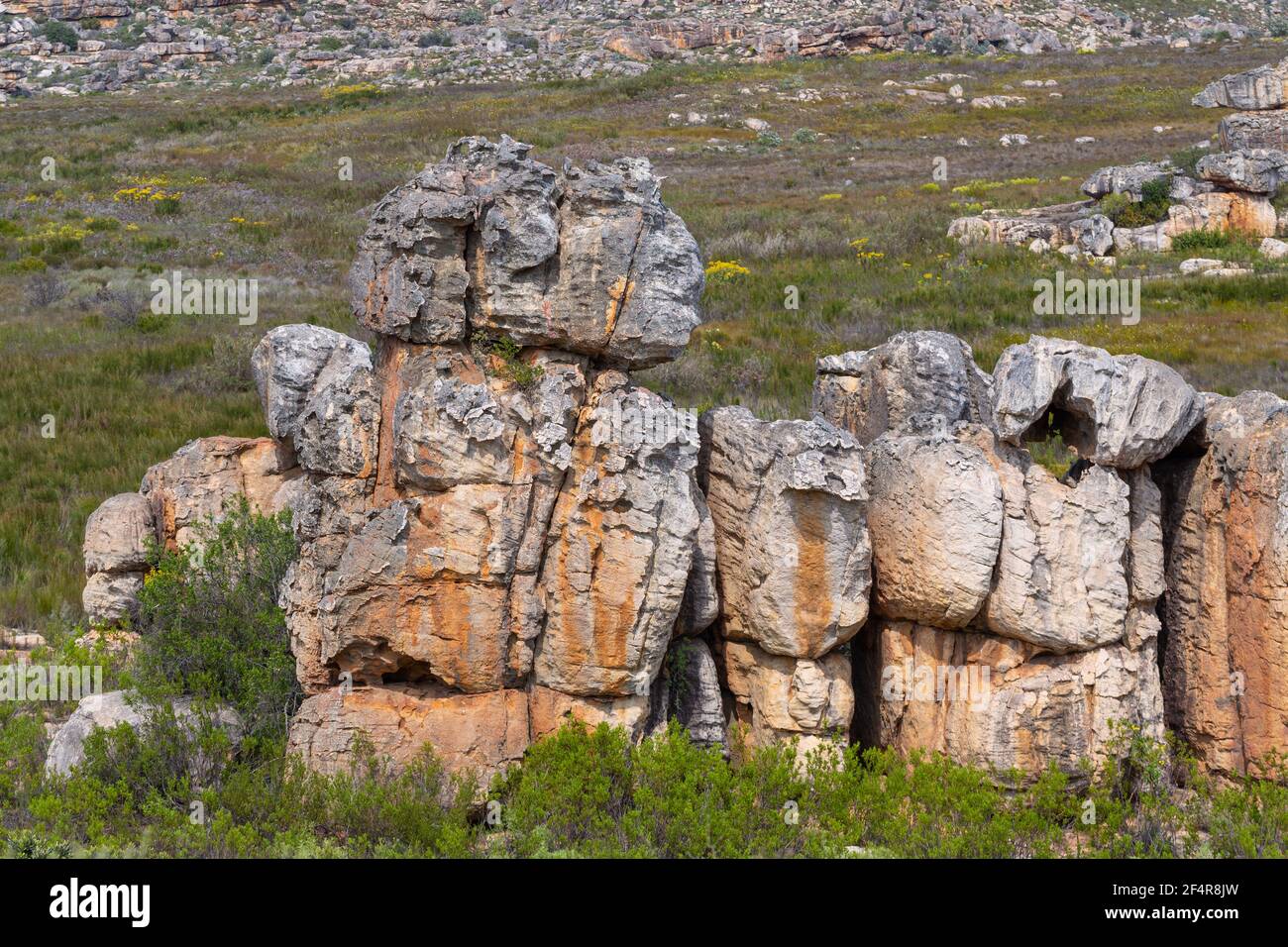 Formazione rocciosa nel Cedarberg vicino a Clanwilliam nel capo occidentale del Sud Africa Foto Stock