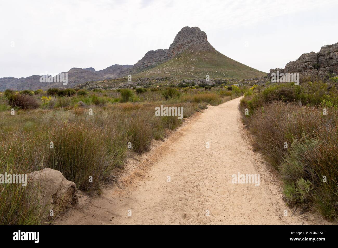 Sentiero escursionistico nel nord di Cederberg vicino a Clanwilliam nel capo occidentale del Sud Africa Foto Stock
