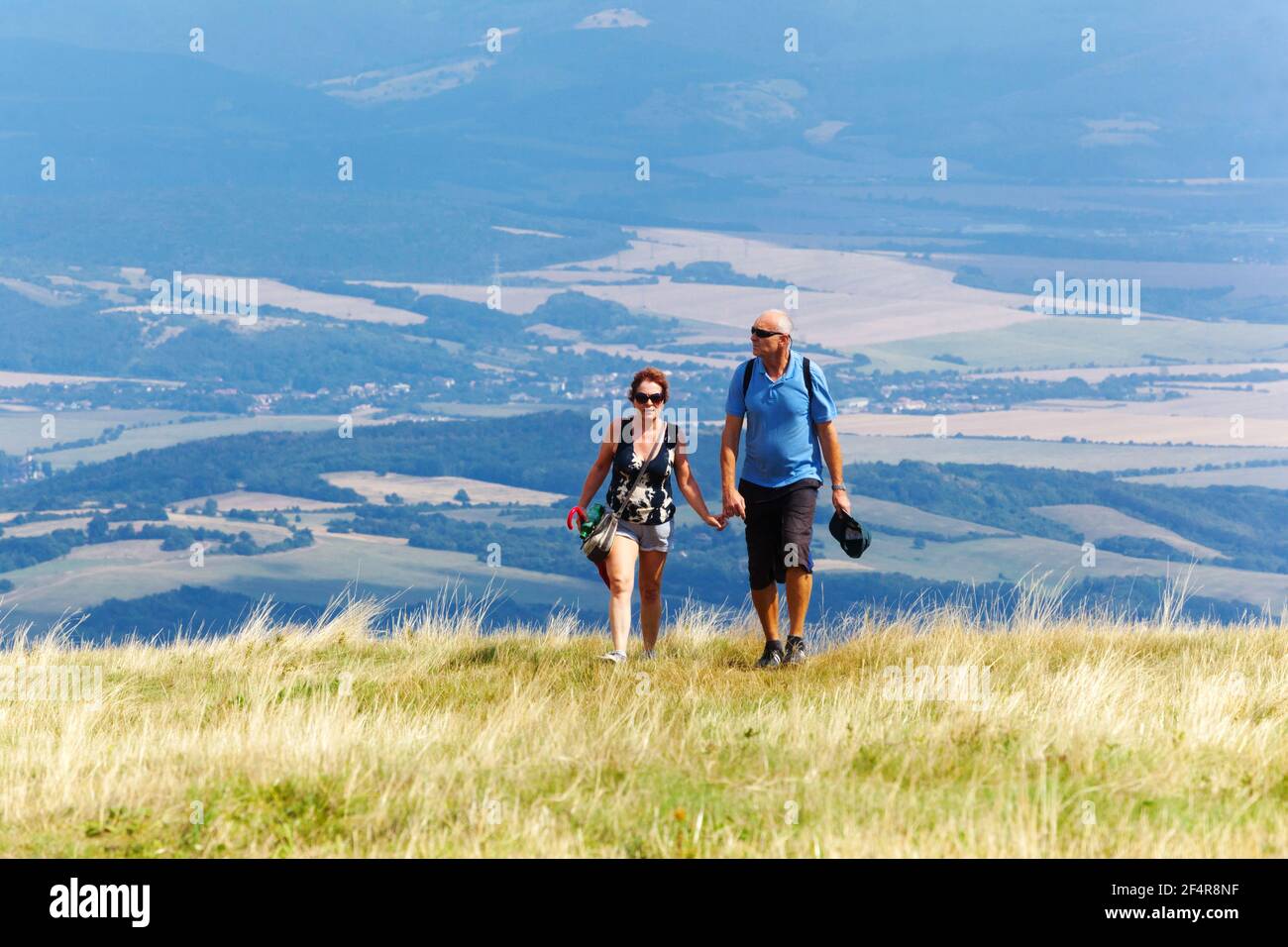 Coppia anziana che cammina nel prato, uomo donna che tiene le mani Foto Stock