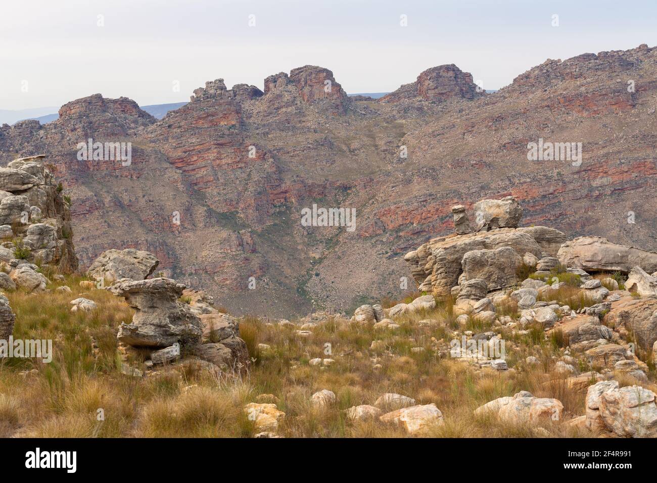 Il paesaggio sassoso del Cedarberg settentrionale vicino a Clanwilliam nel capo occidentale del Sud Africa Foto Stock