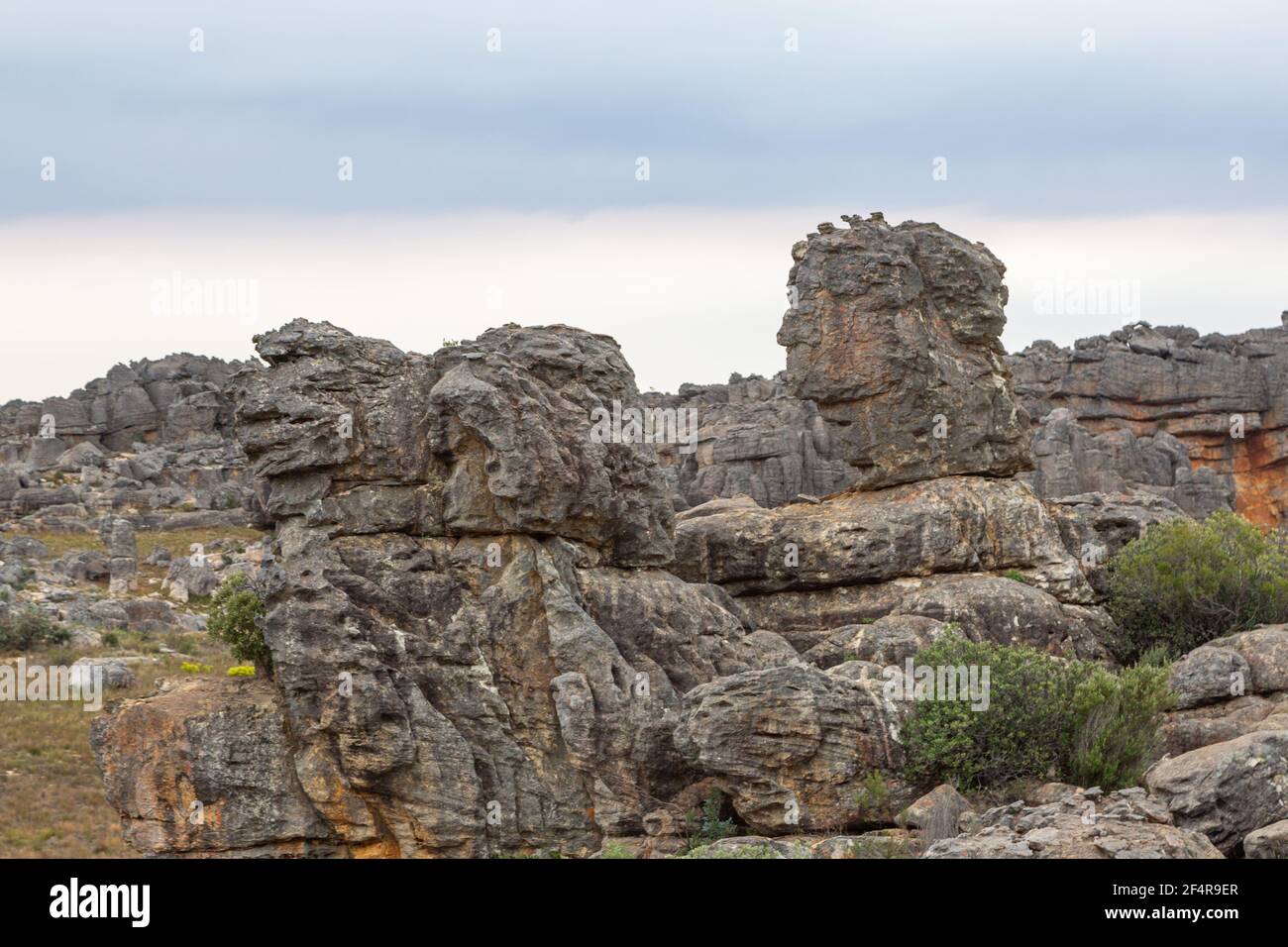 Interessante formazione di pietra, che sembra di volti, nei monti Cederberg, nel capo occidentale del Sud Africa Foto Stock