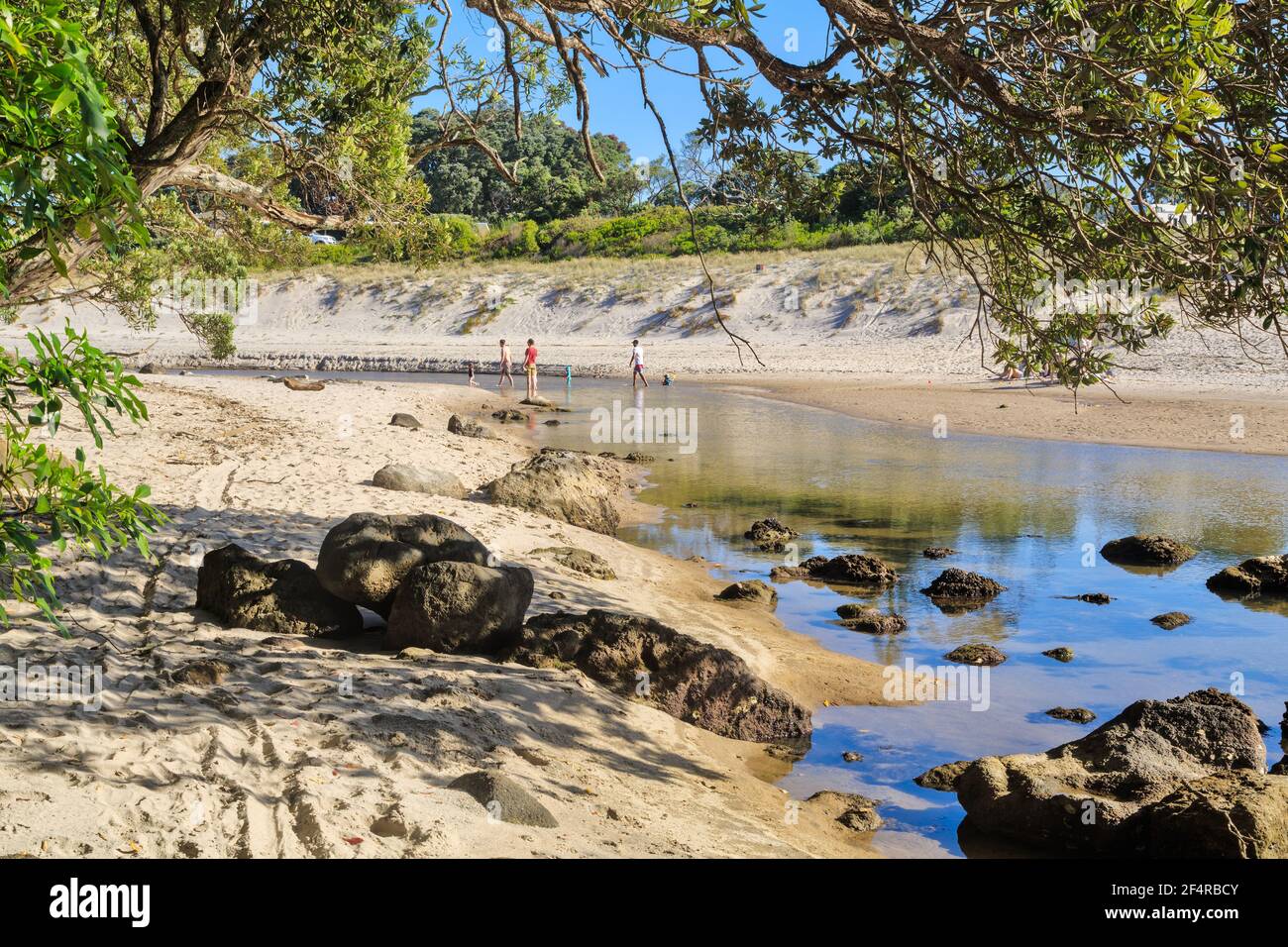 Scena costiera a Whiritoa, Nuova Zelanda. Un ruscello scende verso l'oceano, circondato da foreste e dune di sabbia Foto Stock