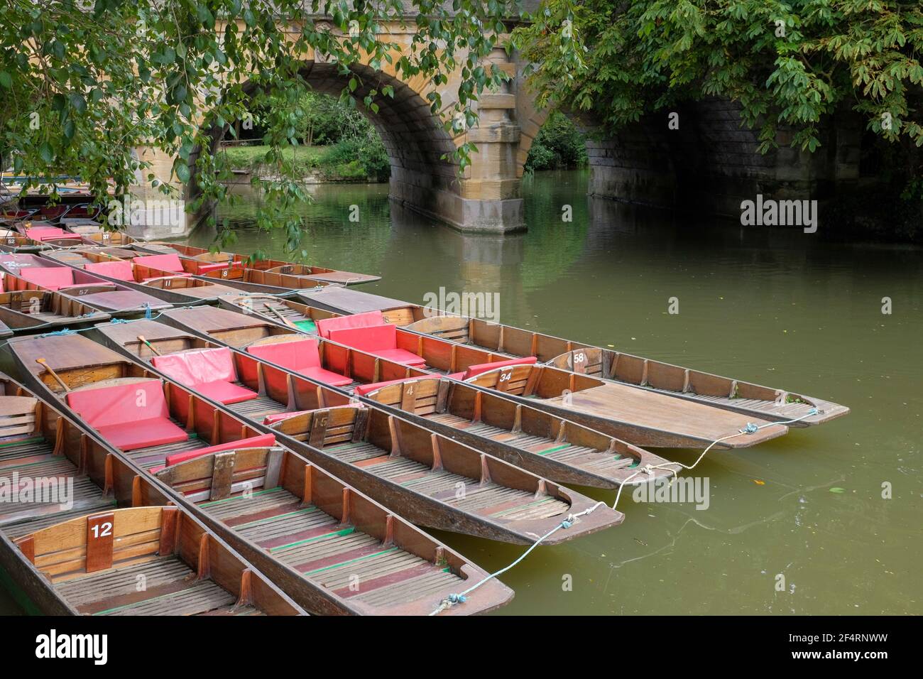 Puntini per noleggio ormeggiati sul fiume Cherwell, Magdalen ponte, Oxford, Inghilterra, Regno Unito Foto Stock