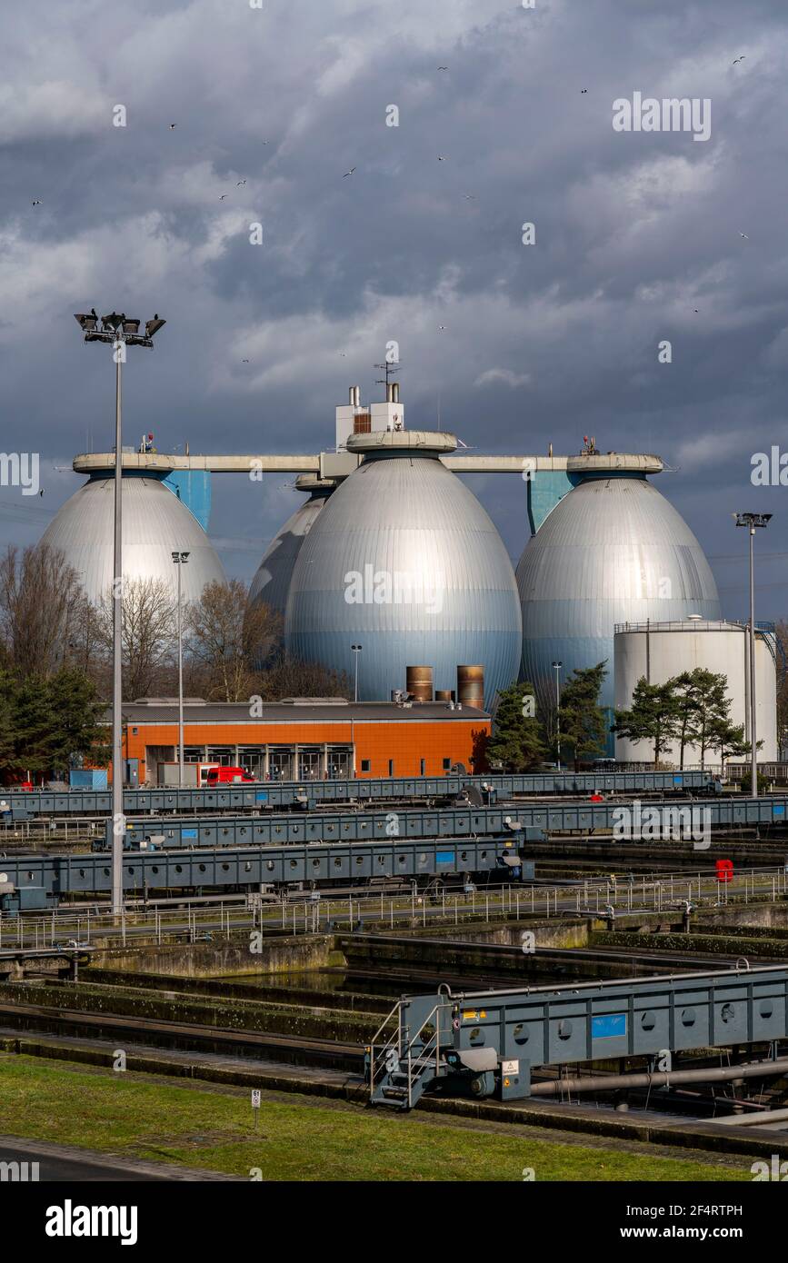 Digestori e chiarificatori secondari, impianto di trattamento delle acque reflue di Emschergenossenschaft a Weilheimer Mark a Bottrop, NRW, Germania Foto Stock