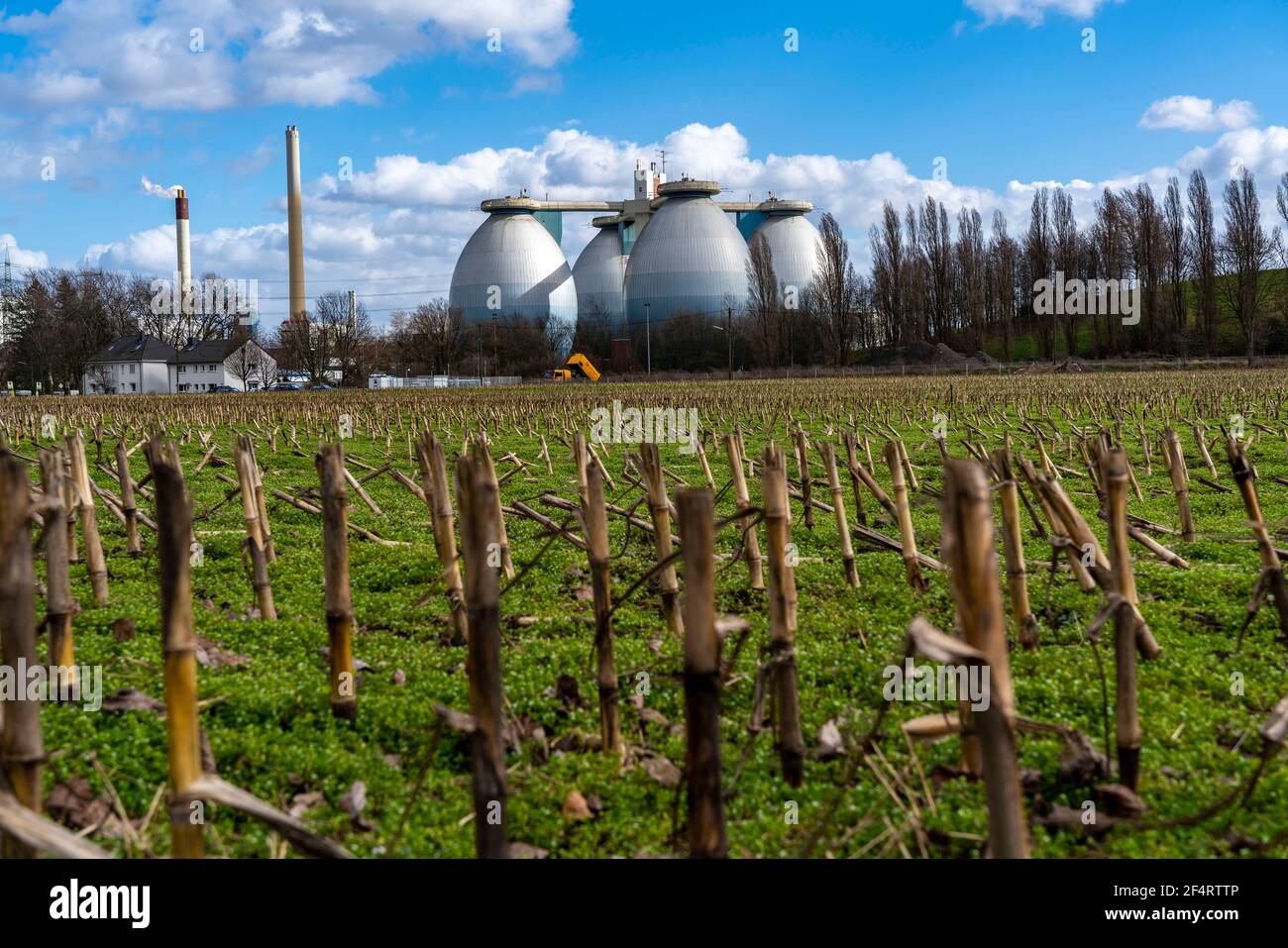 Digestori, impianto di trattamento delle acque reflue dell'Emschergenossenschaft, presso il marchio Weilheimer di Bottrop, NRW, Germania Foto Stock