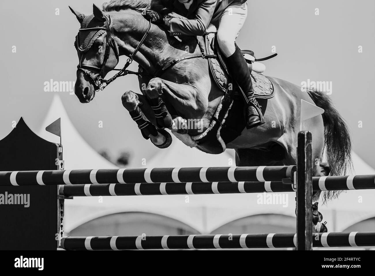 Horse Jumping, sport equestri foto a tema. Foto Stock