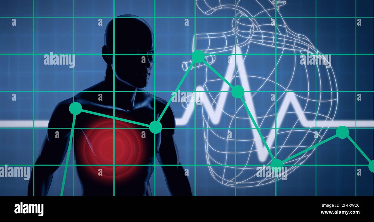 Corpo umano mediale contro la frequenza cardiaca e l'icona del cuore umano su sfondo blu Foto Stock