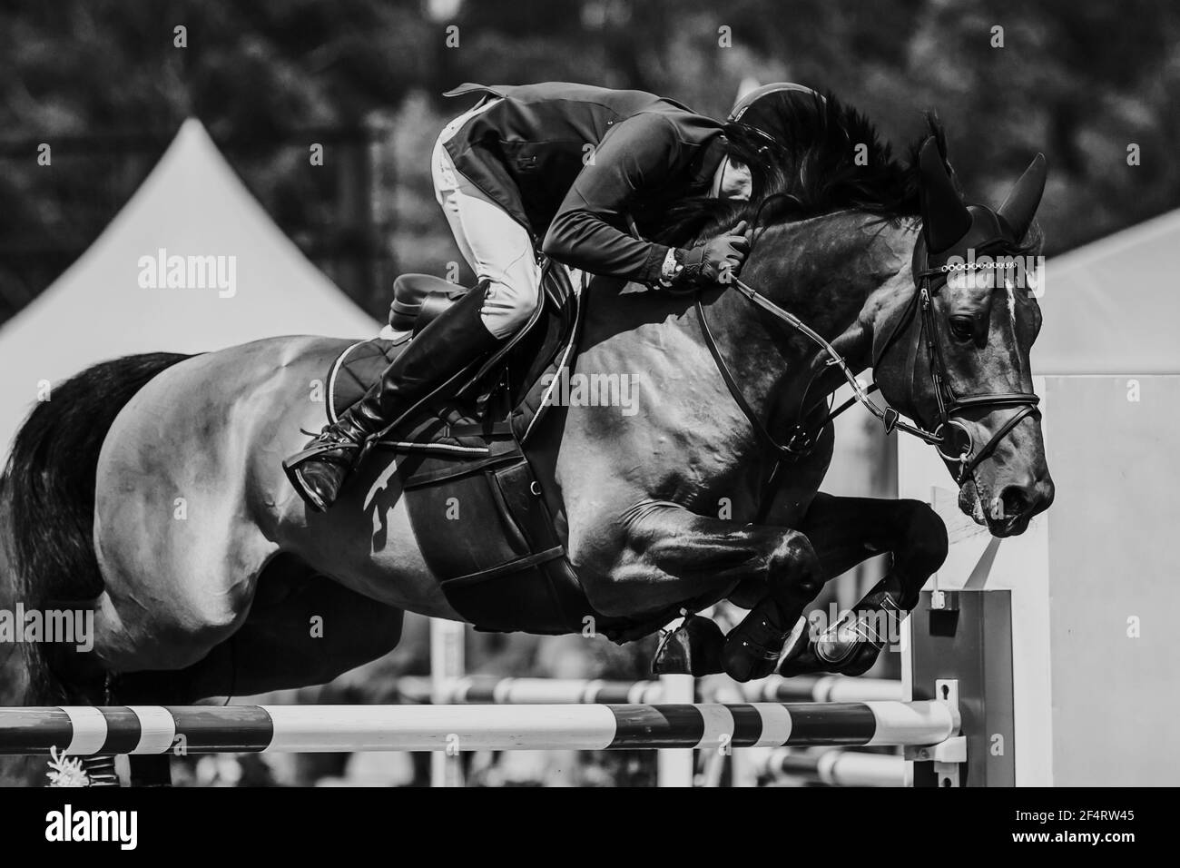 Horse Jumping, sport equestri foto a tema. Foto Stock