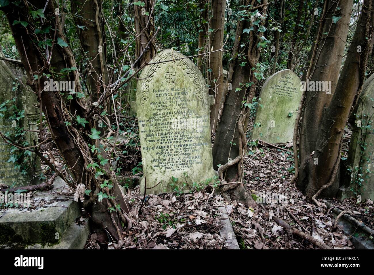 Tombe ipercresciute e dilatate, cimitero vittoriano Nunhead, Londra, Regno Unito. Foto Stock