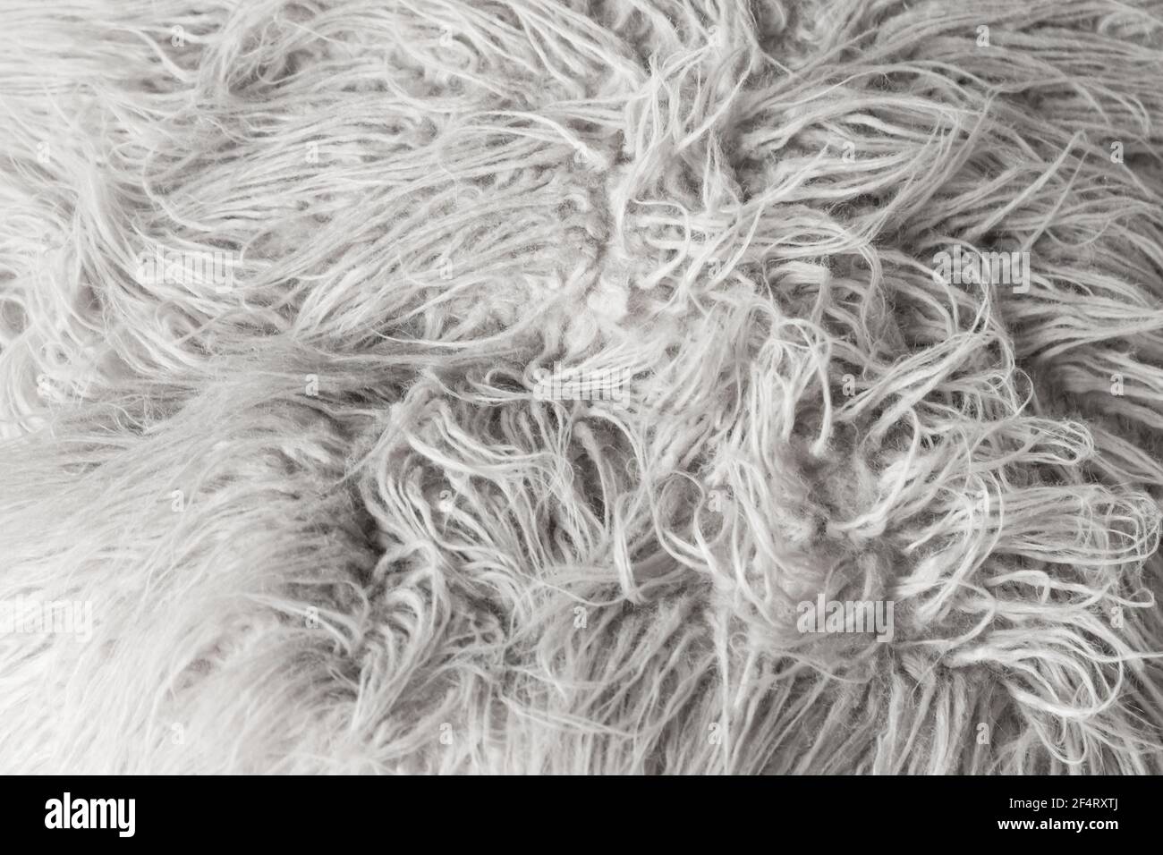 Texture foto di sfondo bianco con capelli lunghi e pelle di pecora in primo piano Foto Stock
