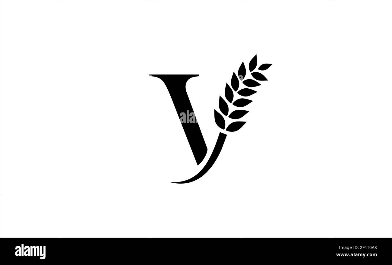Illustrazione vettoriale con lettera V del logo del frumento Foto Stock