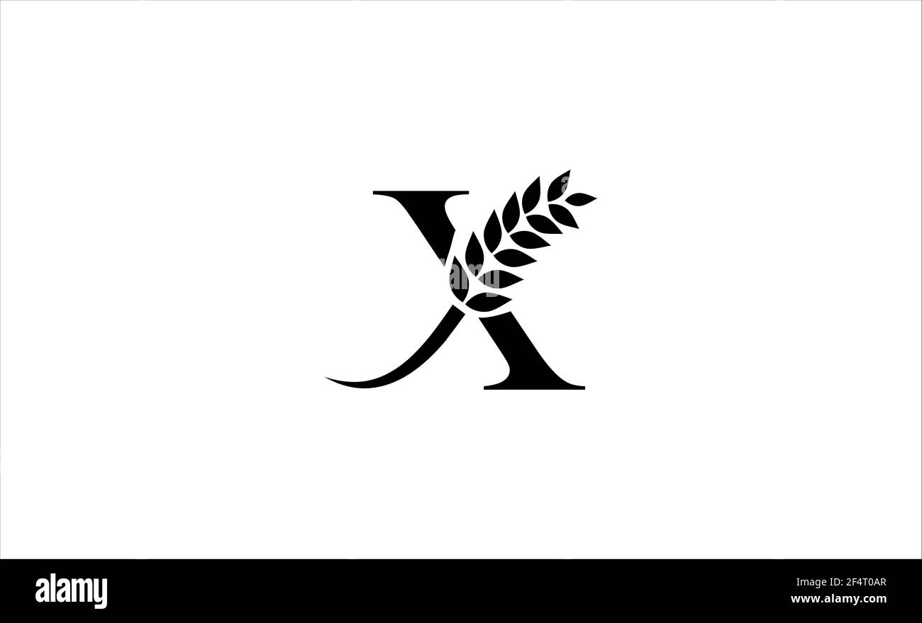 Illustrazione vettoriale con lettera X del logo del frumento Foto Stock