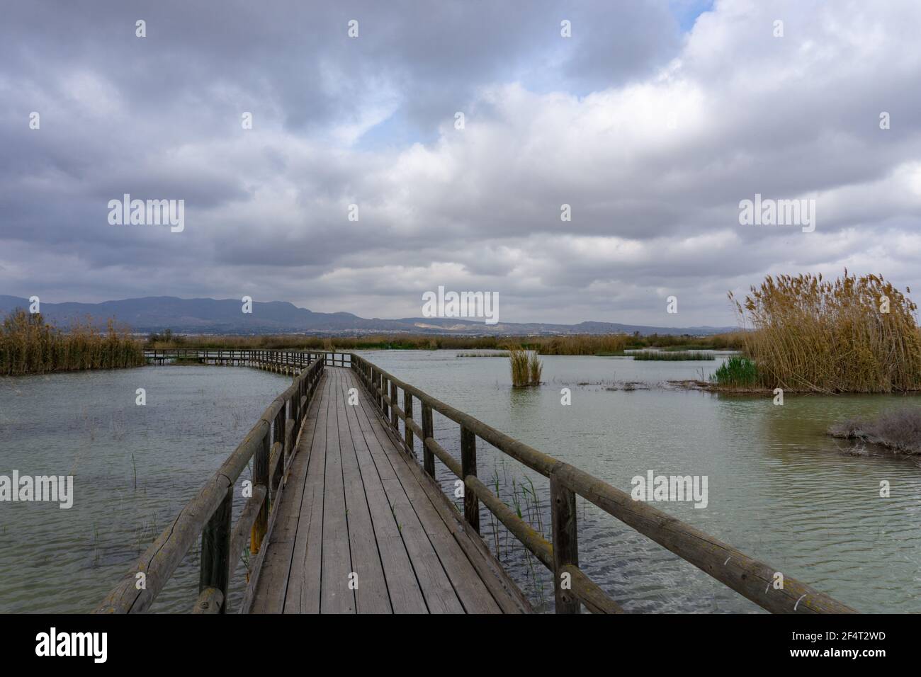 Un lungo molo in legno e una passerella in zone umide di acque salmastre con erba esparta e laguna sotto un cielo sovrastato Foto Stock