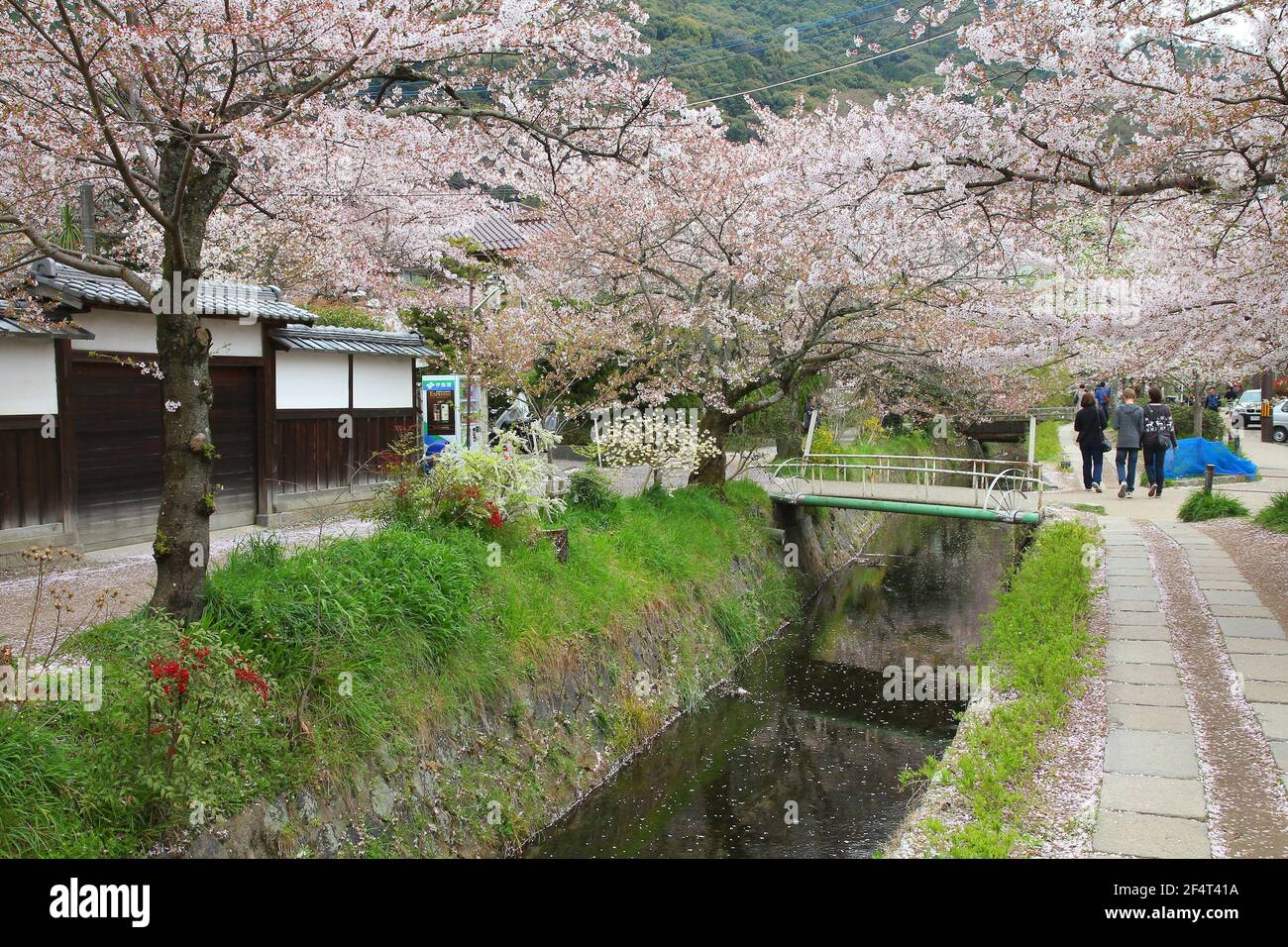 KYOTO, GIAPPONE - 16 APRILE 2012: La gente visita la camminata del filosofo (o percorso del filosofo) a Kyoto, Giappone. Il sentiero fiancheggiato da fiori di ciliegio è un grande Japa Foto Stock