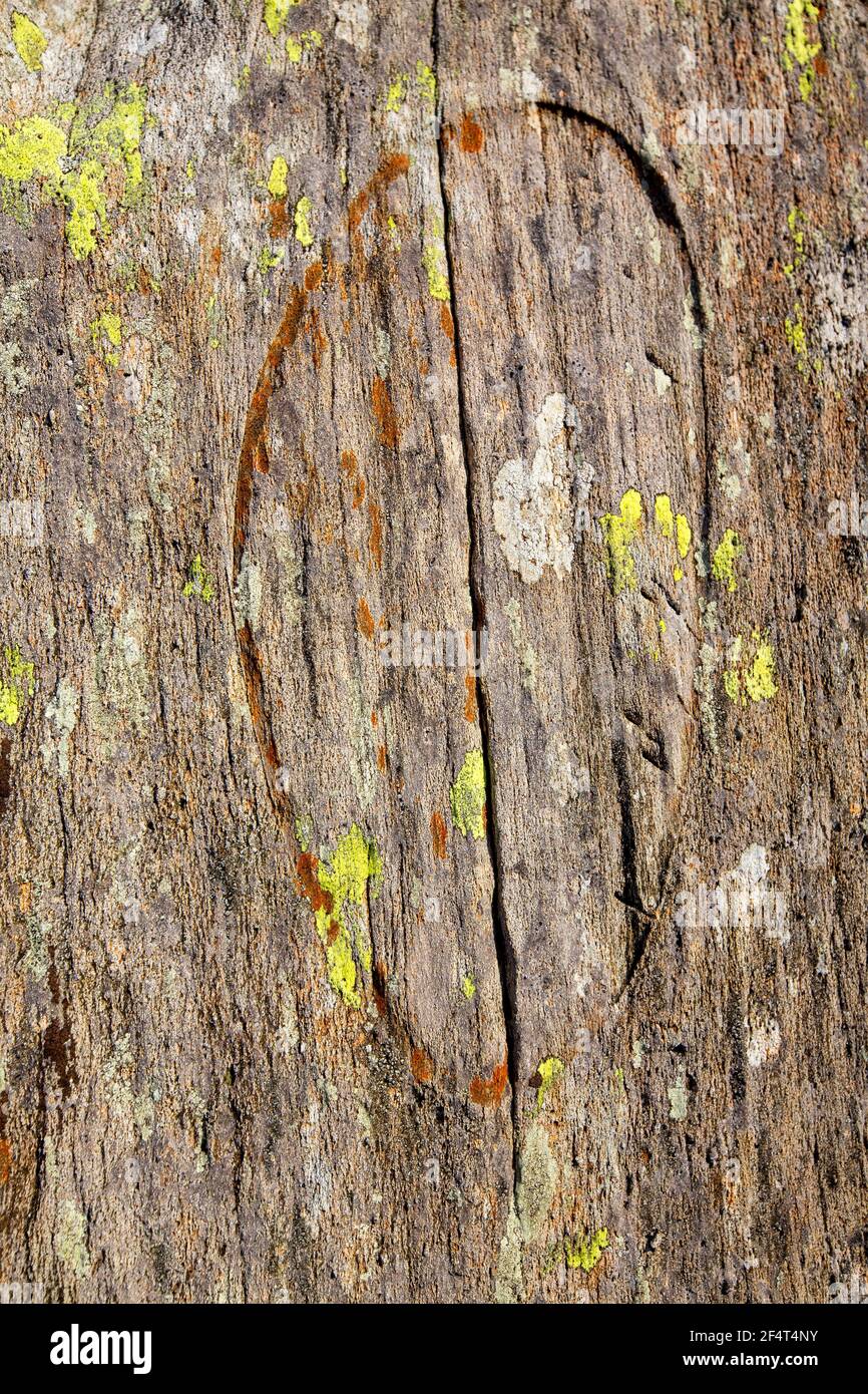 Segni di impatto su un rokc vulcanico da una bomba di lava, Langdale, Lake District, UK. Foto Stock