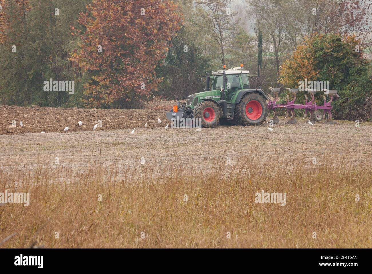 VENEZIA, ITALIA - 14 NOVEMBRE 2020: Un agricoltore con il suo trattore arava il terreno alla fine della stagione autunnale per prepararlo alla piantagione primaverile Foto Stock