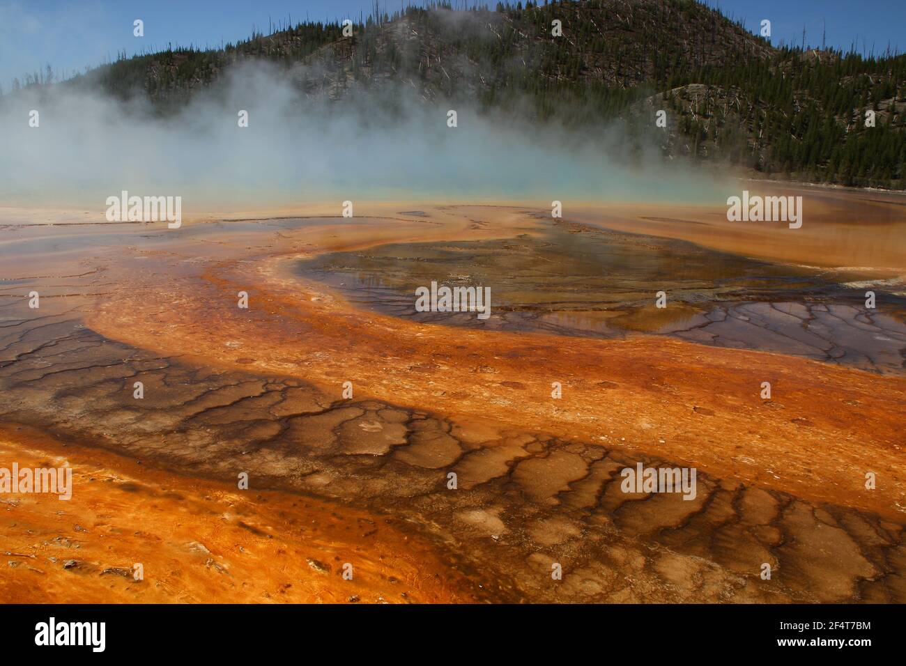 Thermalquelle im Yellowstone-Nationalpark Foto Stock