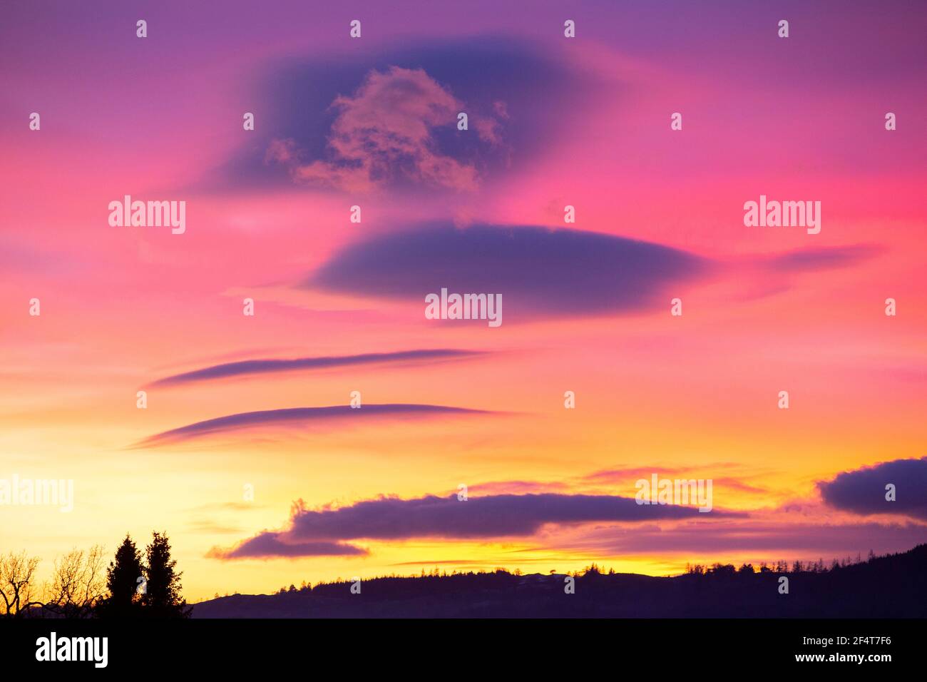 Nuvole lenticolari al tramonto su Grizedale, Cumbria, UK. foresta, albero, Grizedale, Foto Stock