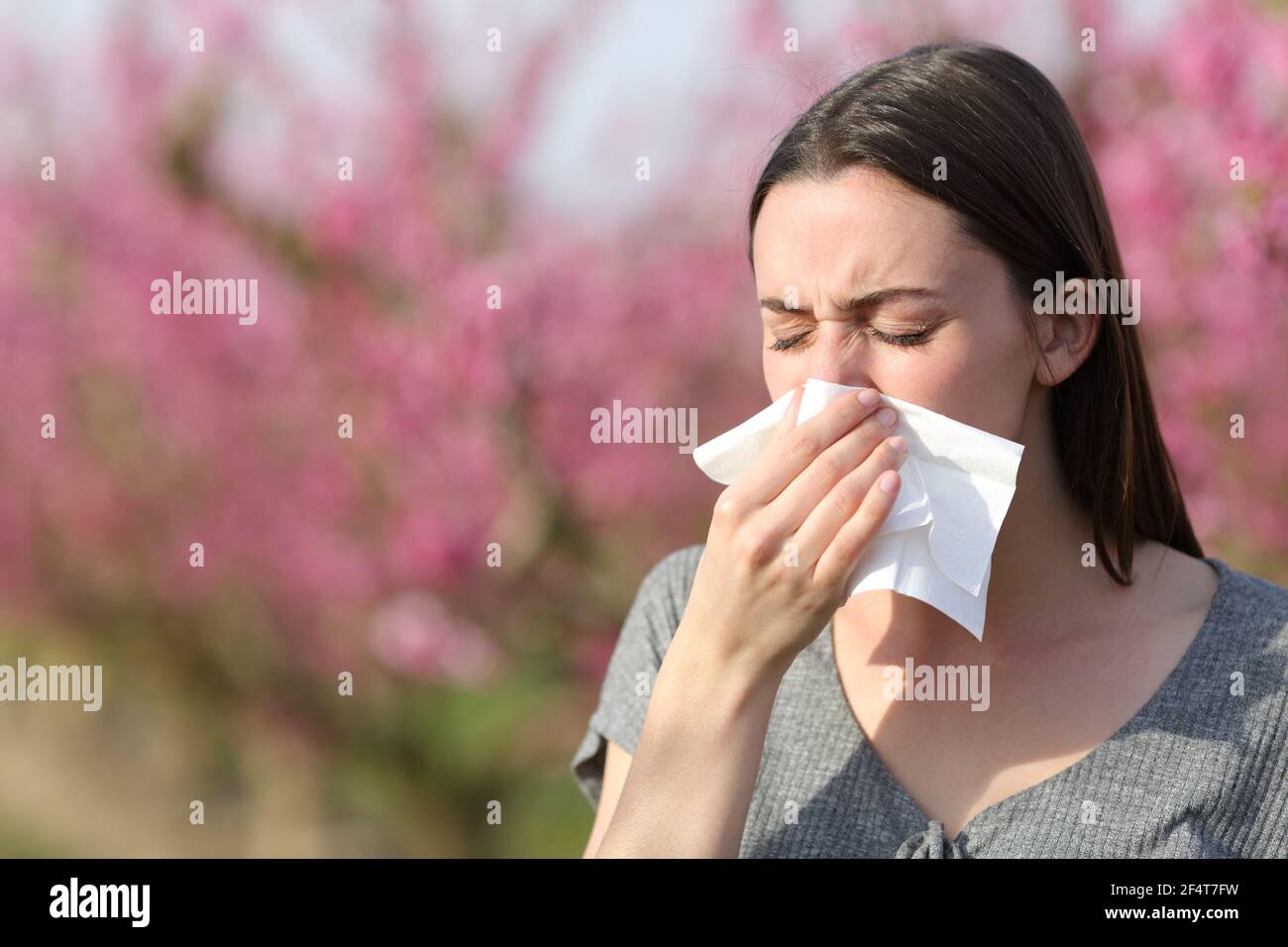 Donna che soffia su tessuto che soffre allergia in primavera in un campo di alberi di pesca Foto Stock