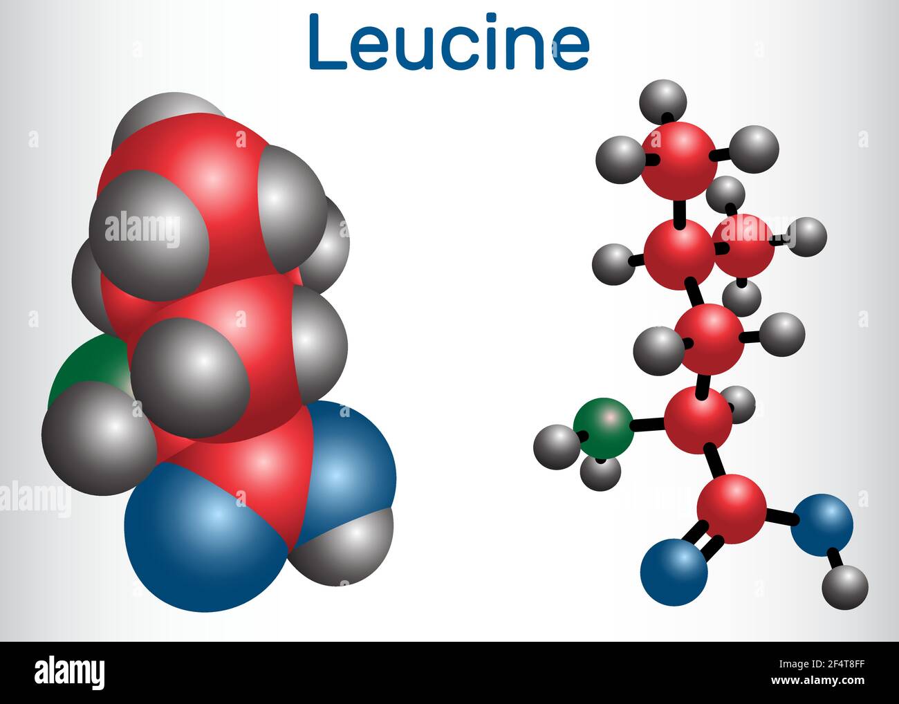 Leucina ( L-leucina, Leu, L). È amminoacido essenziale. Modello di molecola Illustrazione Vettoriale
