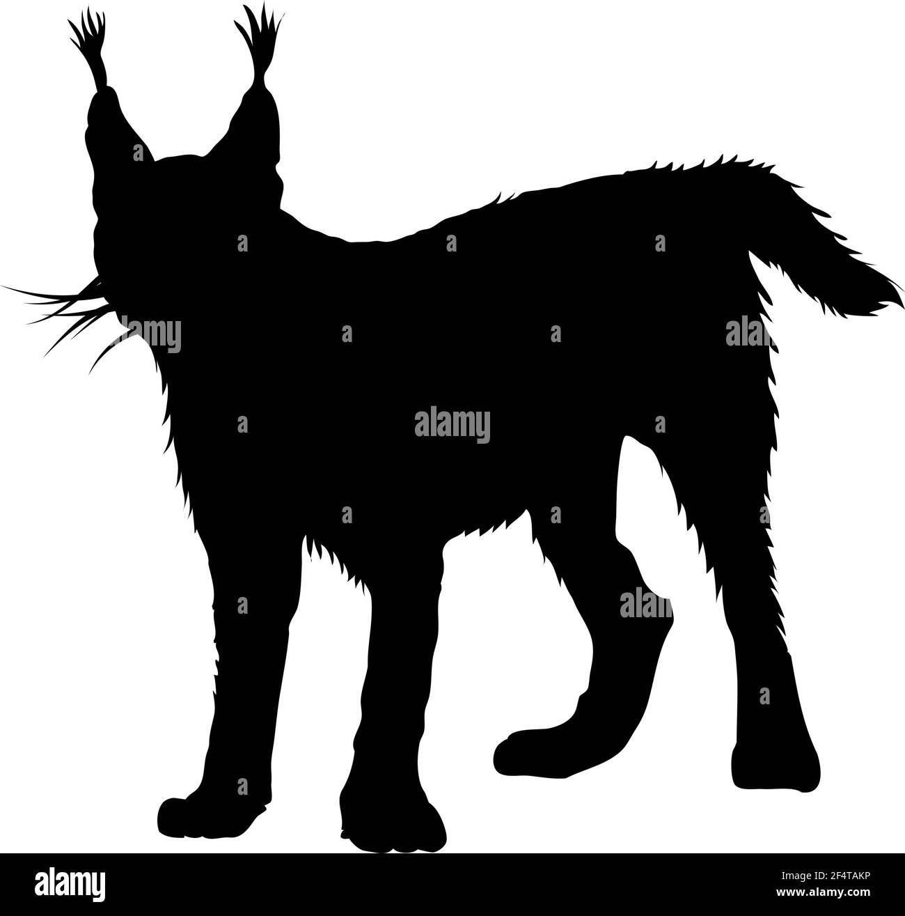 Silhouette caracale. Linee lisce e pulite. Silhouette Caracal con dettagli elevati. Illustrazione vettoriale. Illustrazione Vettoriale