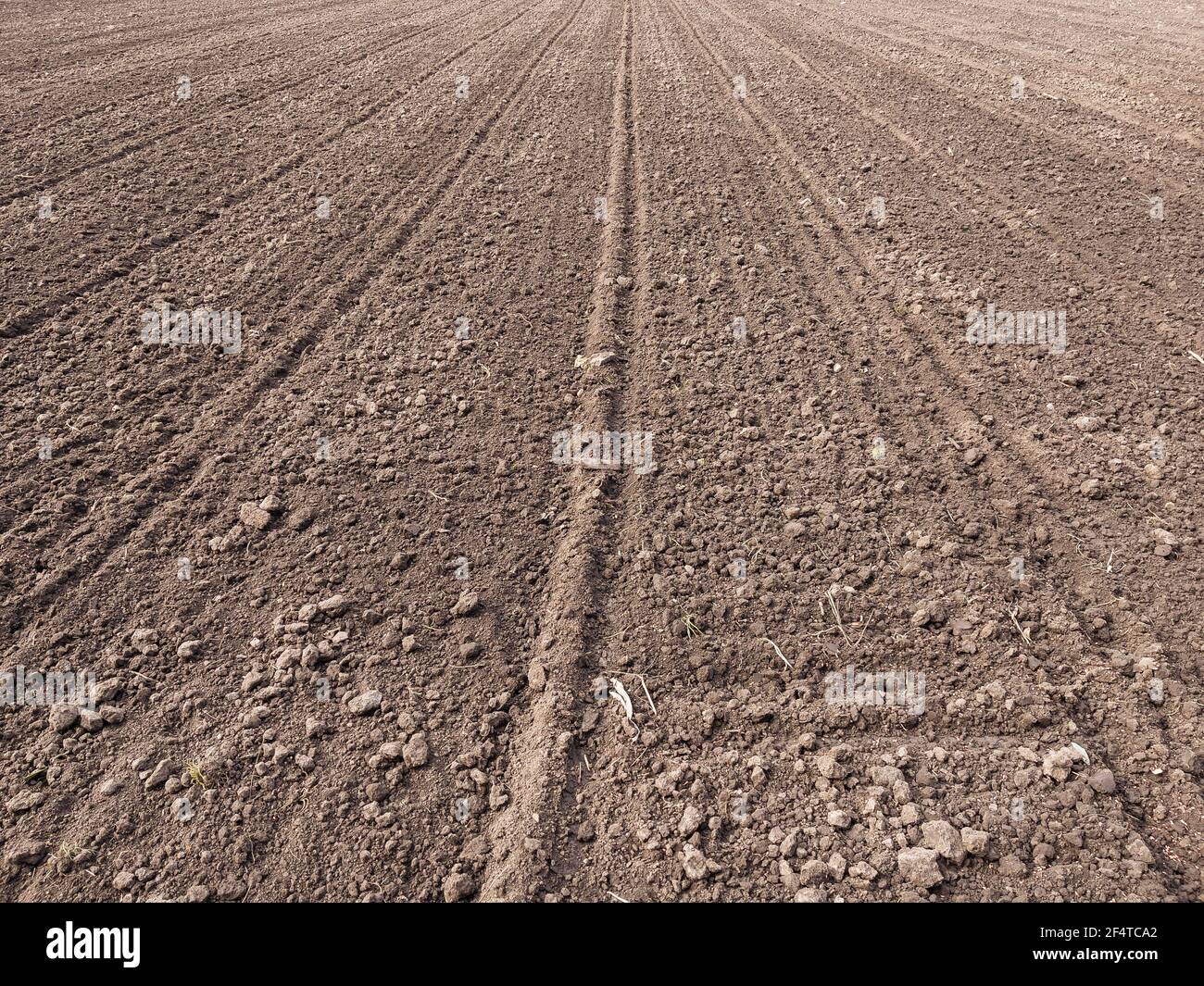 Terra arabile. Preparazione di campo per piantare. Arato suolo in primavera tempo . Lavori agricoli. Foto Stock