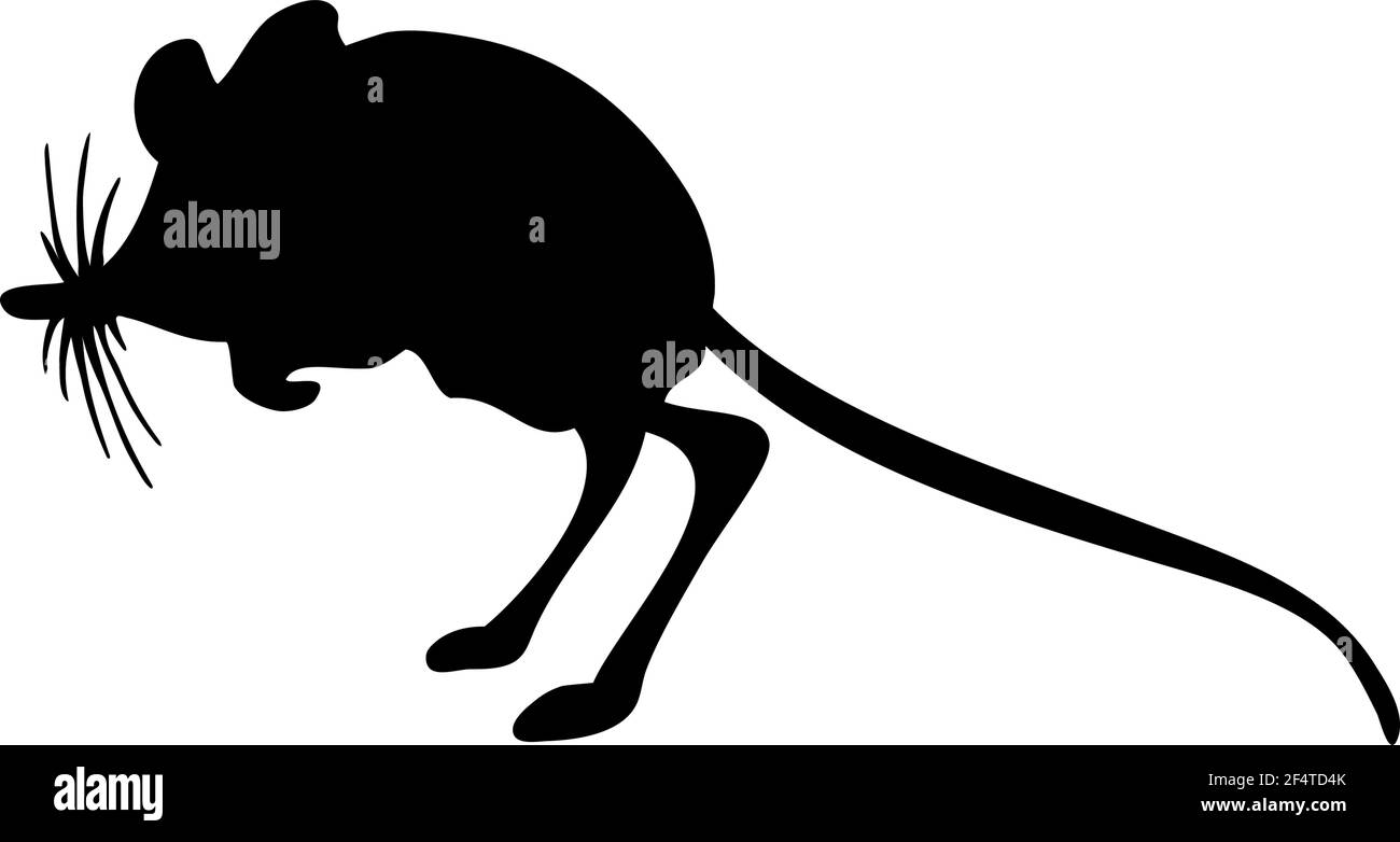 Silhouette di mouse tascabile spinoso. Linee lisce e pulite. Silhouette di mouse tascabile con dettagli spinosi. Illustrazione vettoriale. Illustrazione Vettoriale