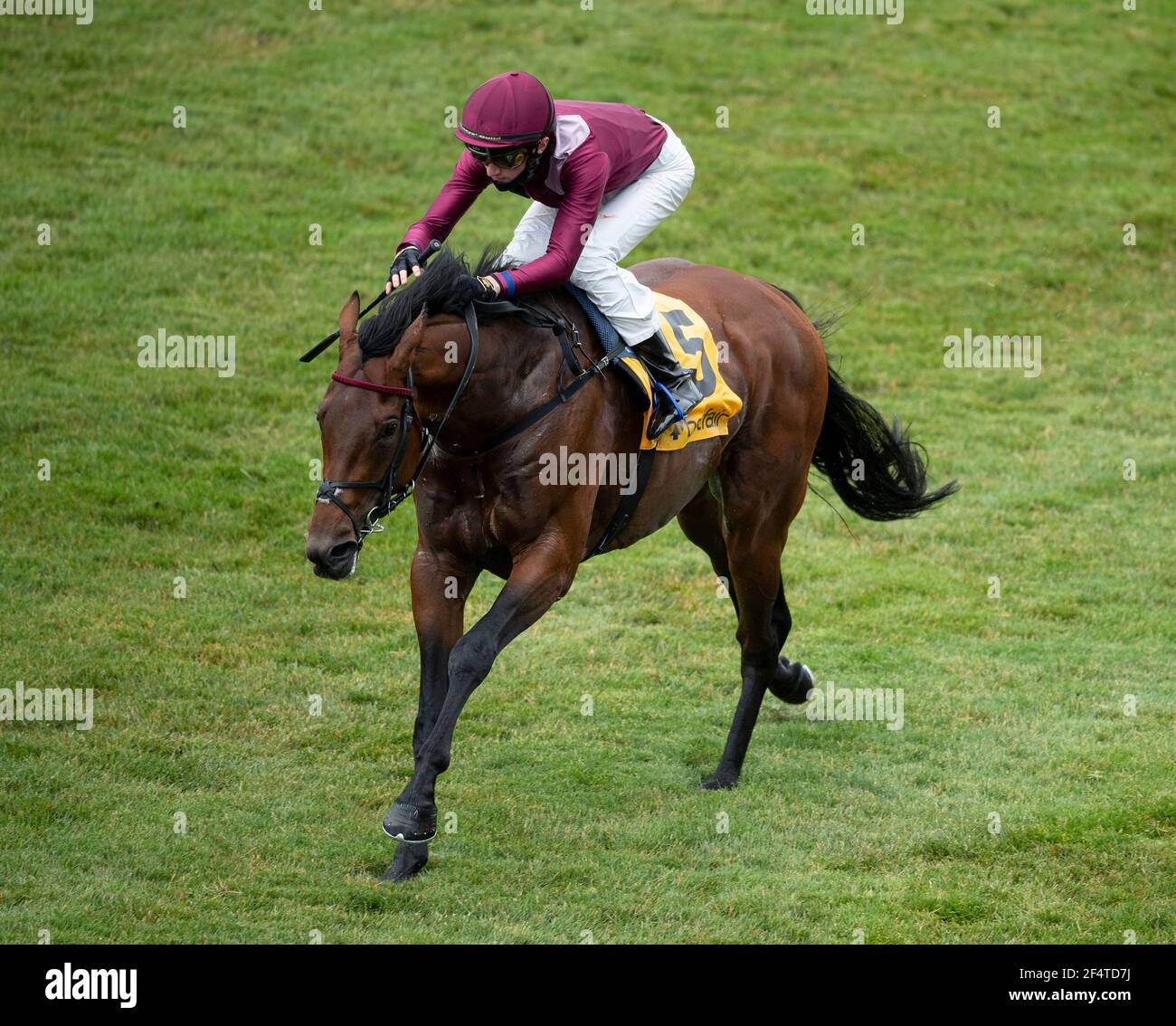 La foto del file datata 06-06-2020 di Mishriff ridden by David Egan vince il Betfair Exchange Free Bet Streak Newmarket Stakes presso l'ippodromo di Newmarket. Data di emissione: Martedì 23 marzo 2021. Foto Stock