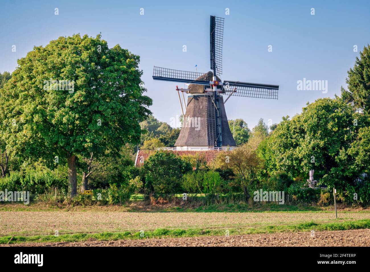 Guardando verso il famoso mulino a vento olandese chiamato 'Bollwerksmill' situato vicino al fiume IJssel e la città di Hanze di Deventer. Foto Stock