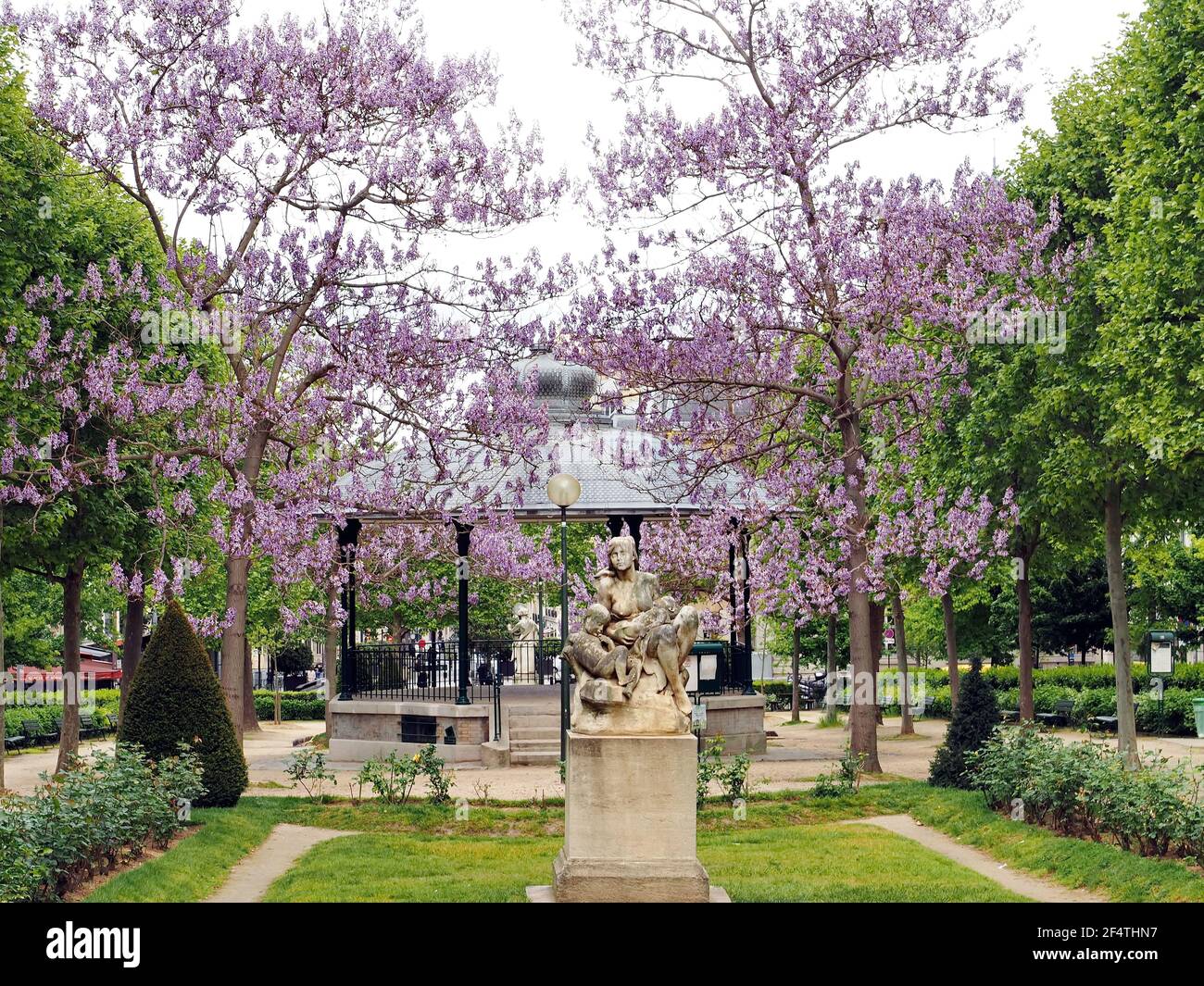 Primavera glicine fiorire in Piazza Adolphe Cherioux, 15 ° arrondissement, Parigi, Francia Foto Stock