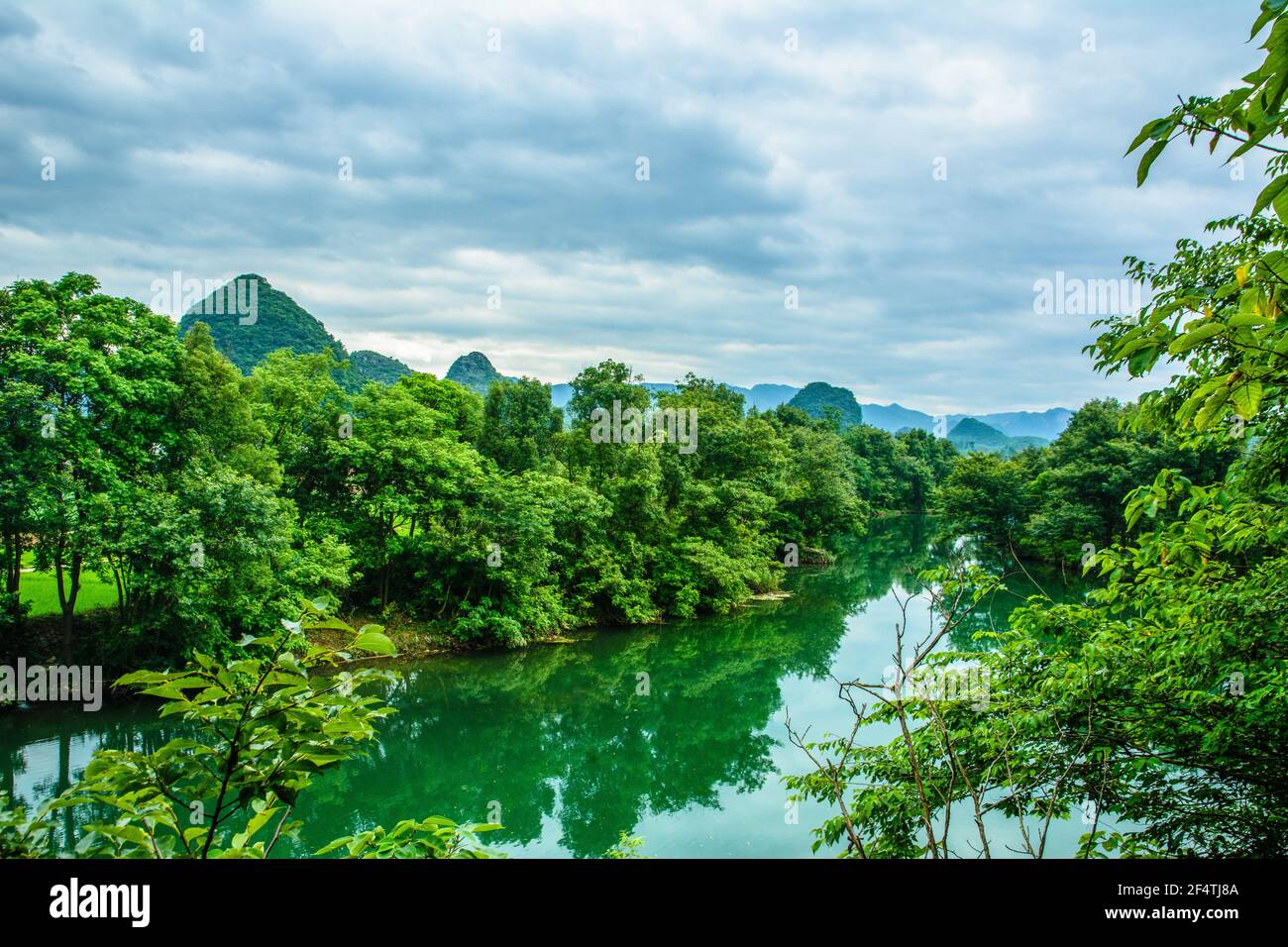 Il fiume e verde albero scenario in primavera Foto Stock