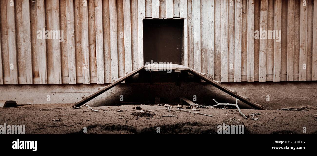 Scale di pollo vuote di fronte all'apertura di una gabbia di pollo, umore depresso. Foto Stock