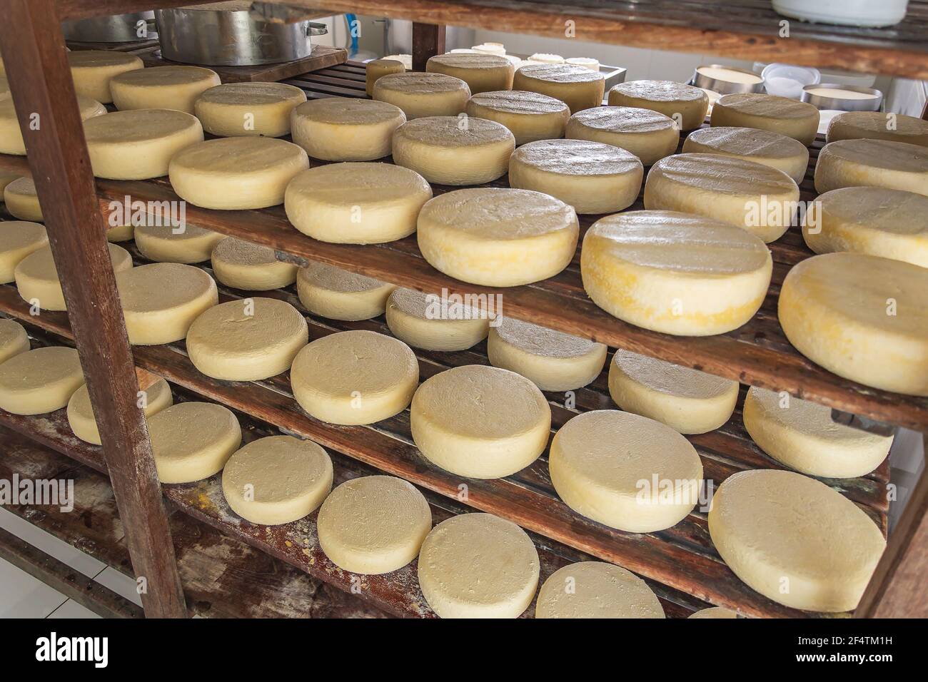 São Roque de Minas - MG, Brasile - 12 dicembre 2020: Conservazione del formaggio nel processo di maturazione a roça da Cidade, produzione artigianale di formaggio, Serra da Canas Foto Stock