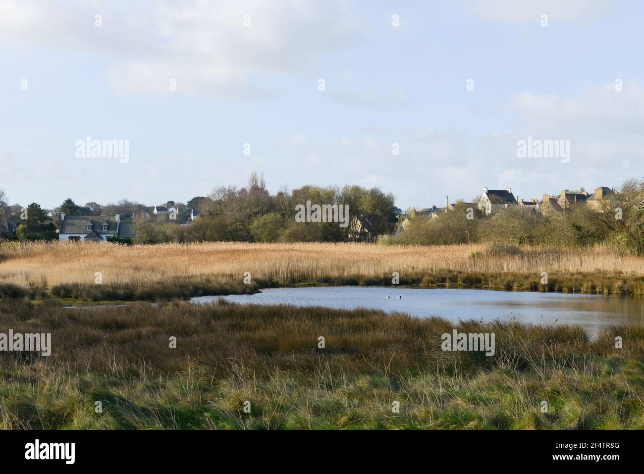 Bella palude nel villaggio di Port-Blanc in Bretagna, Francia Foto Stock