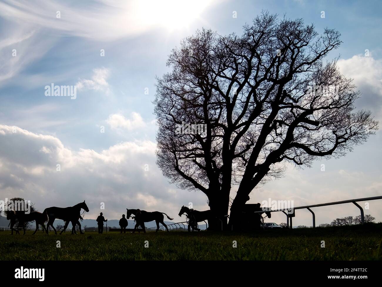 Una vista generale mentre i corridori fanno il loro senso da e verso le scuderie all'Ippodromo di Taunton. Data immagine: Martedì 23 marzo 2021. Foto Stock