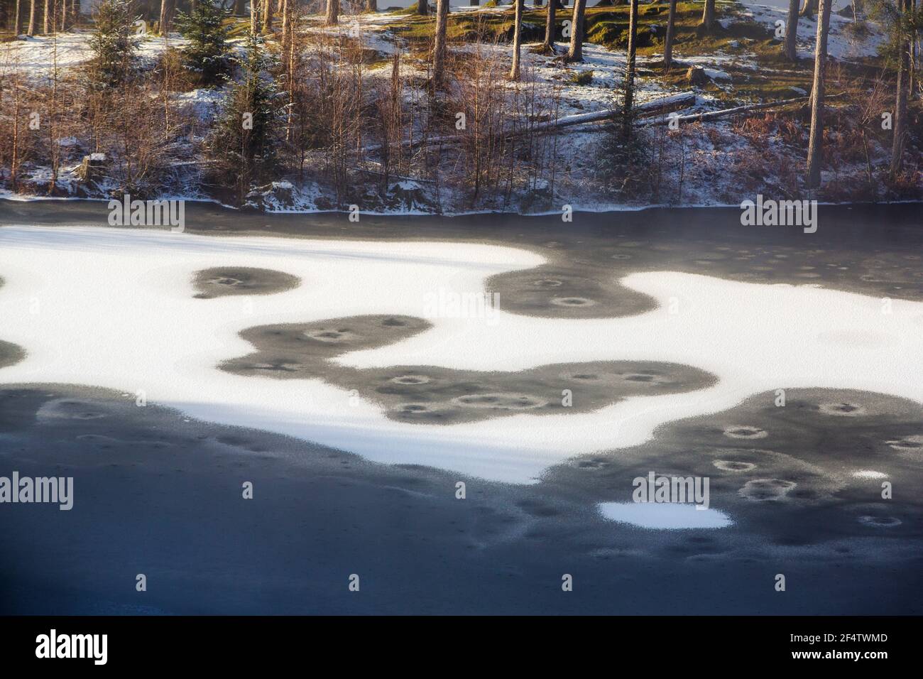 Modelli su Tarn Howes, congelati in inverno, Lake District, UK. Foto Stock