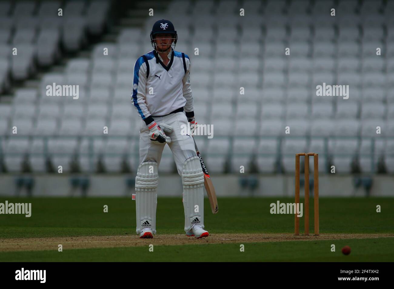 Yorkshire County Cricket, Emerald Headingley Stadium, Leeds, West Yorkshire, 23 marzo 2021. Pre-Season friendly - Yorkshire County Cricket Club vs Durham County Cricket Club, giorno 2. George Hill of Yorkshire County Cricket Club batting. Credit: Touchinepics/Alamy Live News Foto Stock
