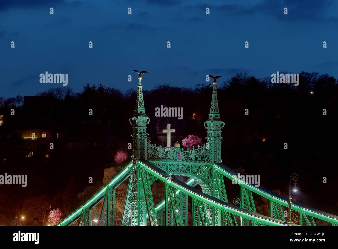 Ponte Liberty all'inizio della primavera 2021. Ponte storico illuminato in primo piano e albero fiorito di ciliegi sul retro a Budapest Ungheria Foto Stock