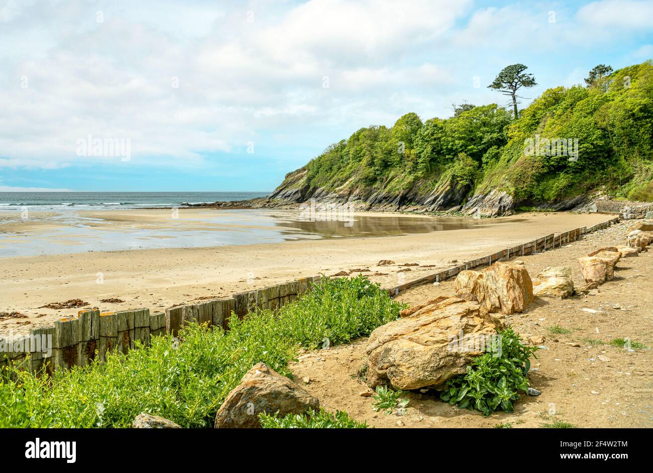 Porthluney spiaggia a Caerhays Castle, Cornwall, Regno Unito Foto Stock