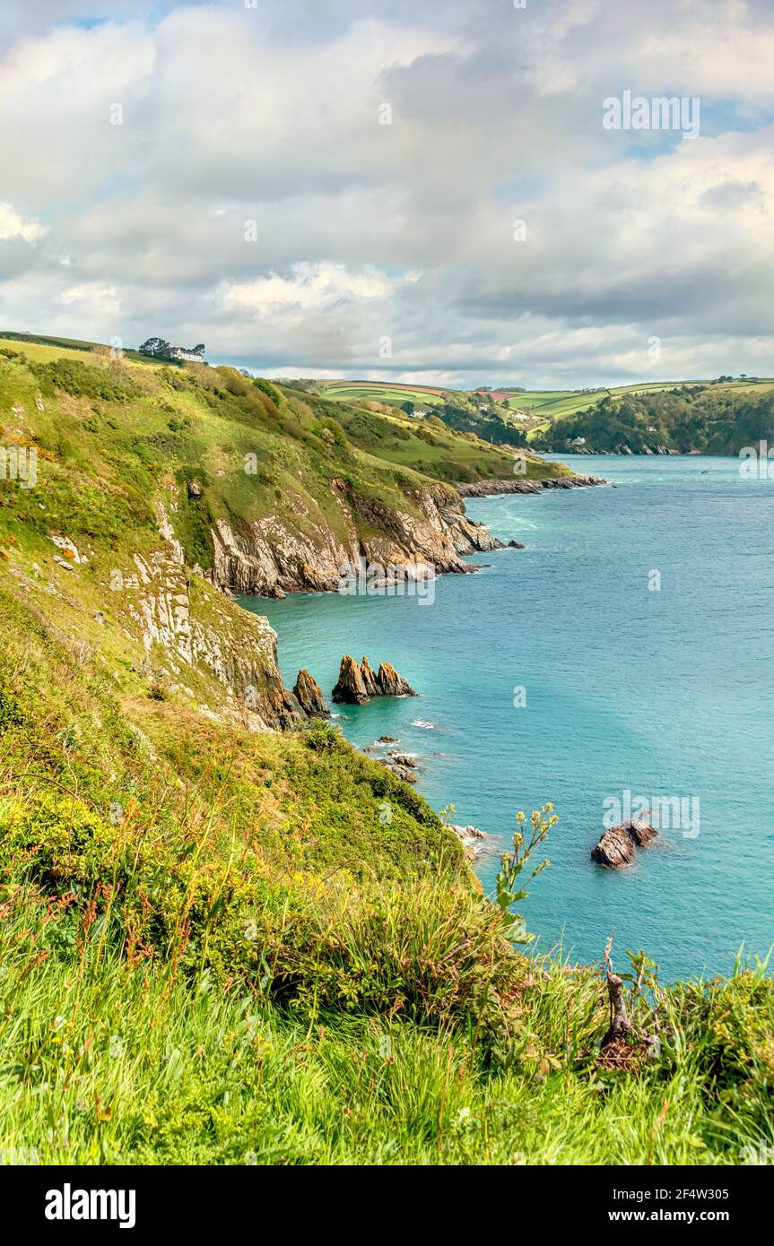 Litorale panoramico alla foce del fiume Dart, Devon, Inghilterra, Regno Unito Foto Stock
