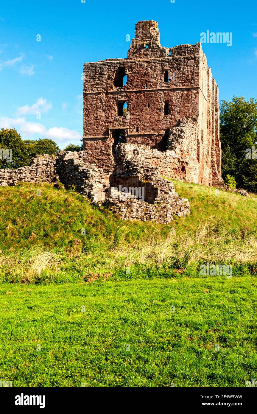 Le rovine del grado uno elencato cinque piani rettangolari Grande Torre del Castello di Norham commissionata dal Vescovo di Durham nel 12 ° secolo Foto Stock